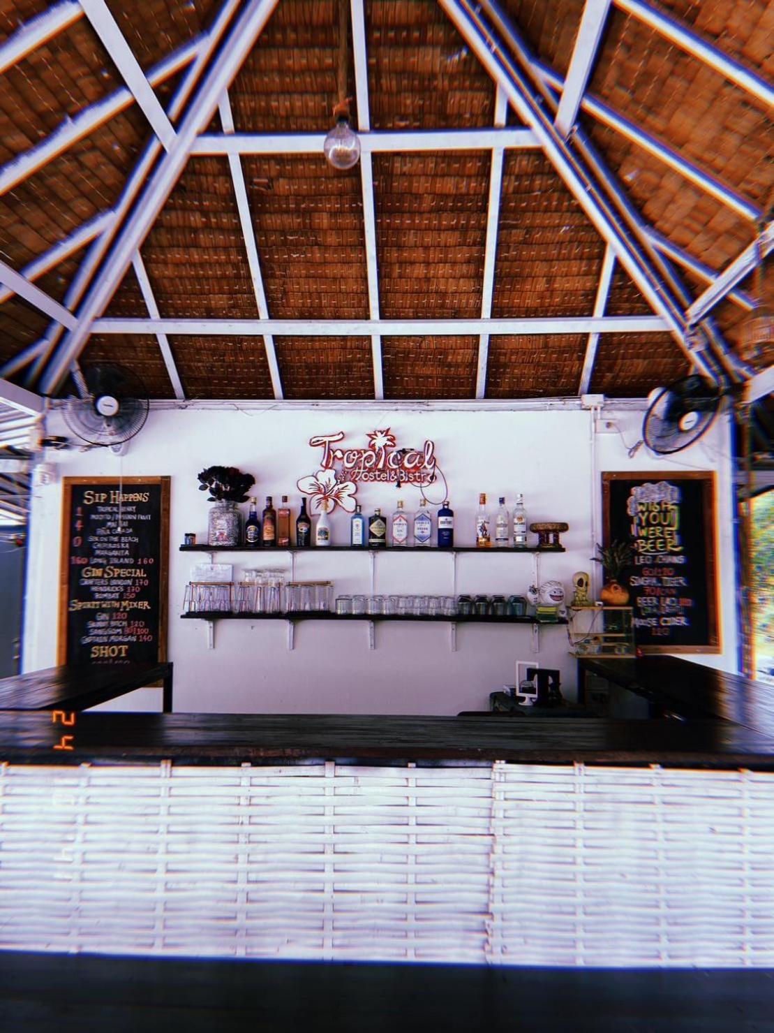 Tropical Hostel view 5