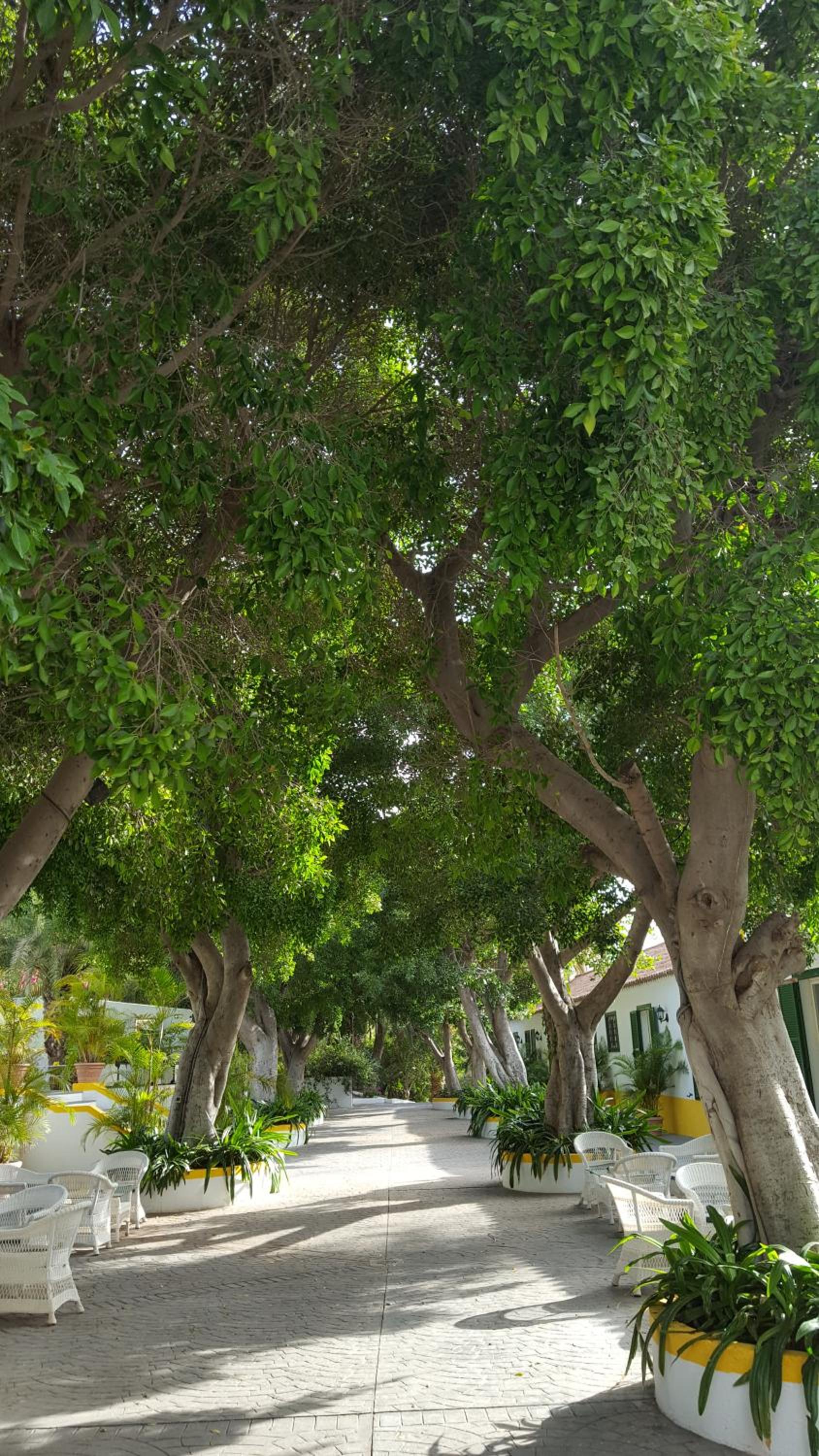 Cortijo San Ignacio
