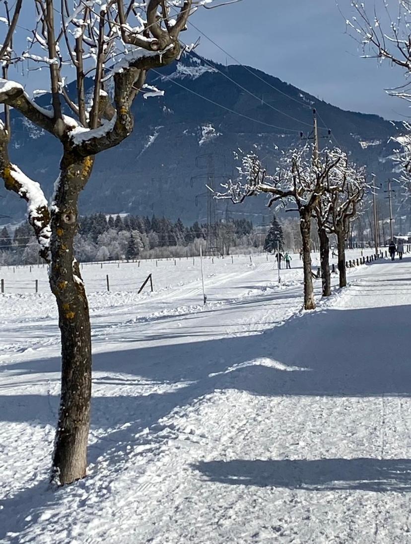Adler Resort Kaprun by Jara