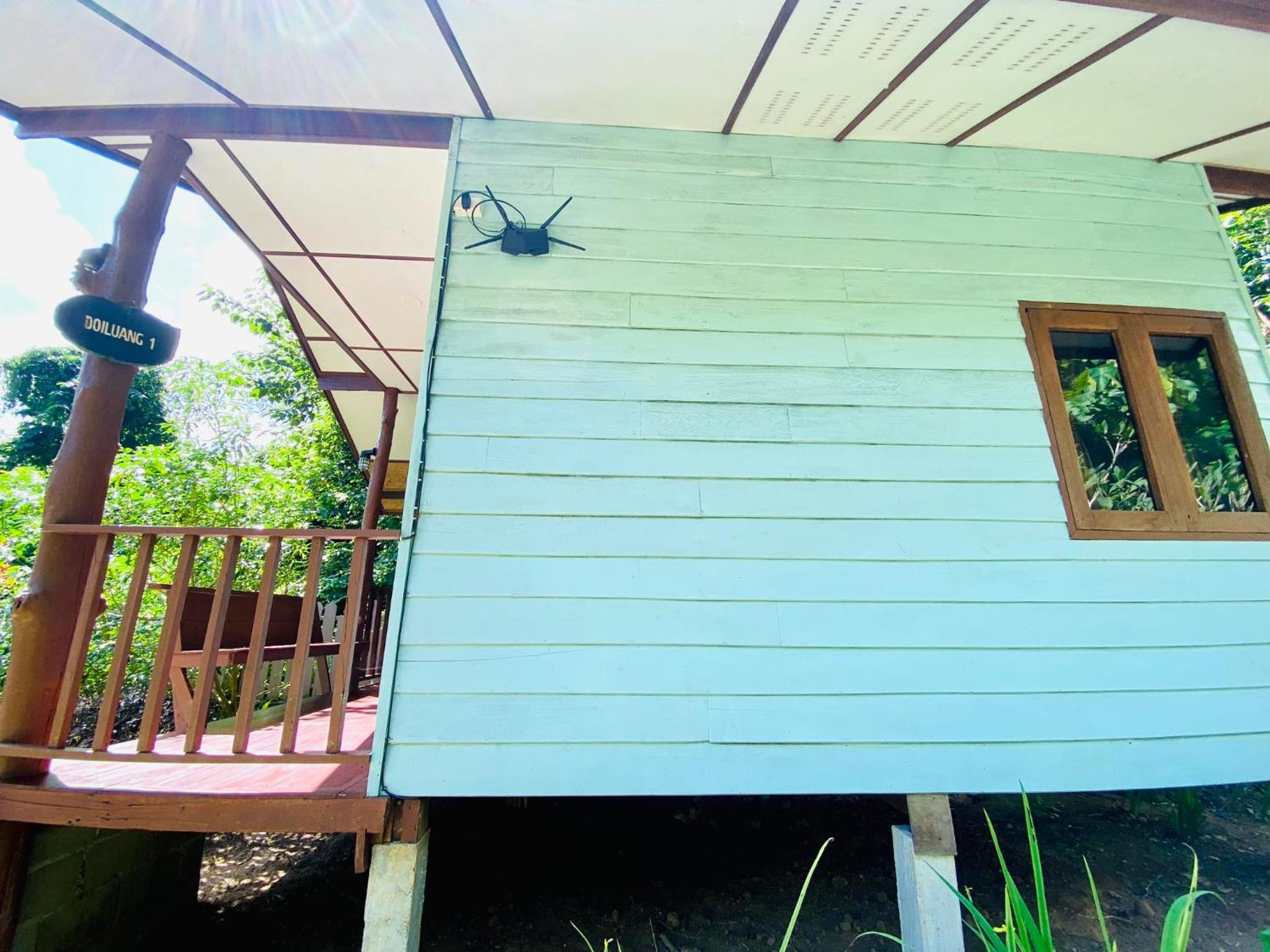 At Home Chiang Dao, Pooch Lovers