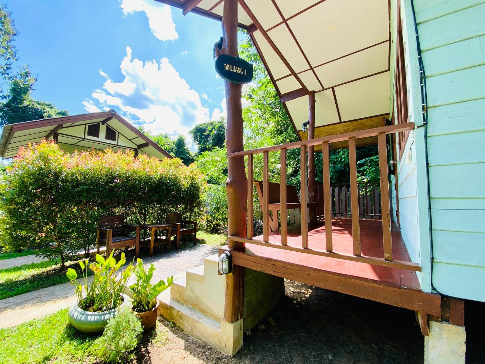 At Home Chiang Dao, Pooch Lovers