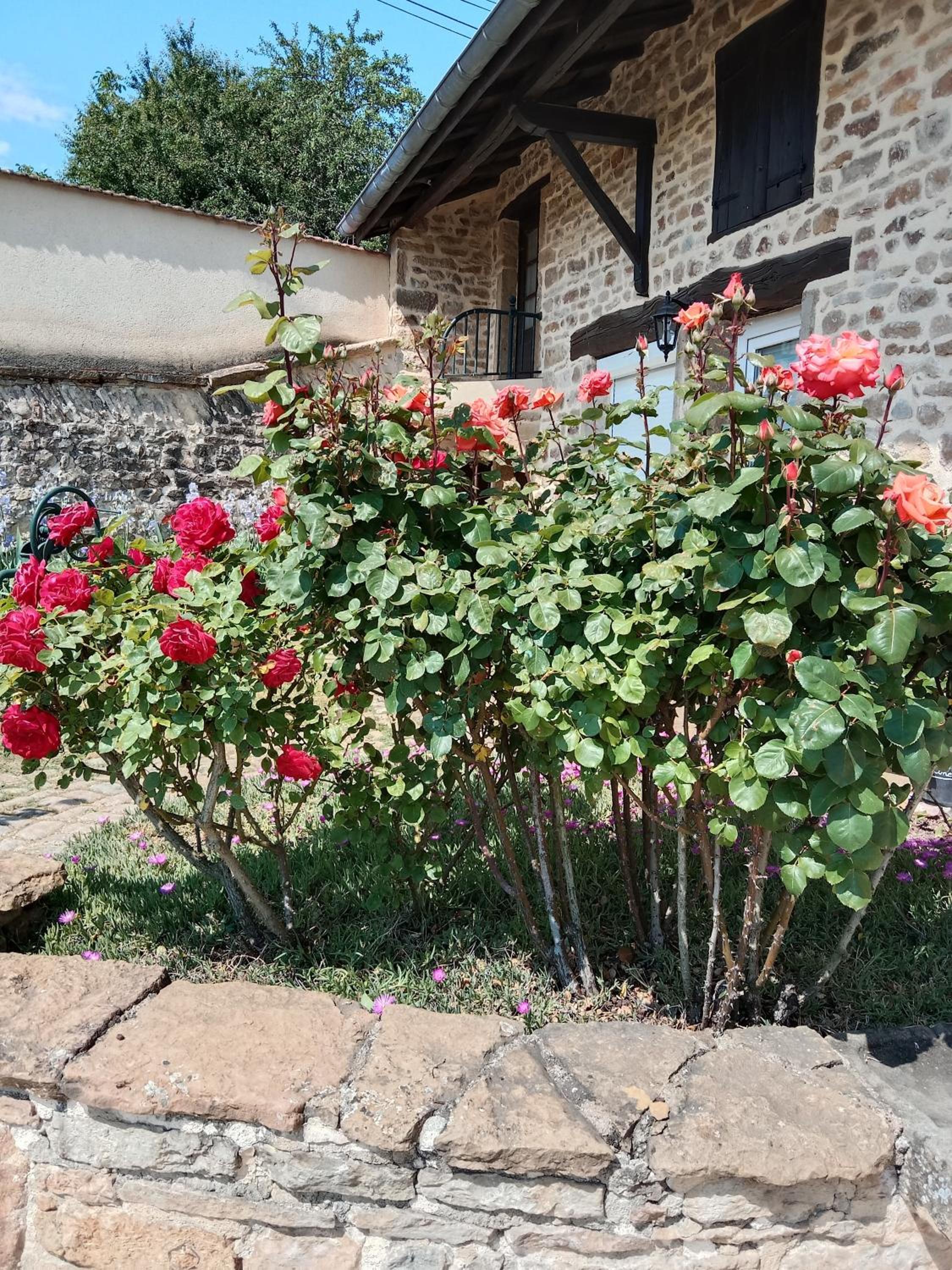 Photo 23