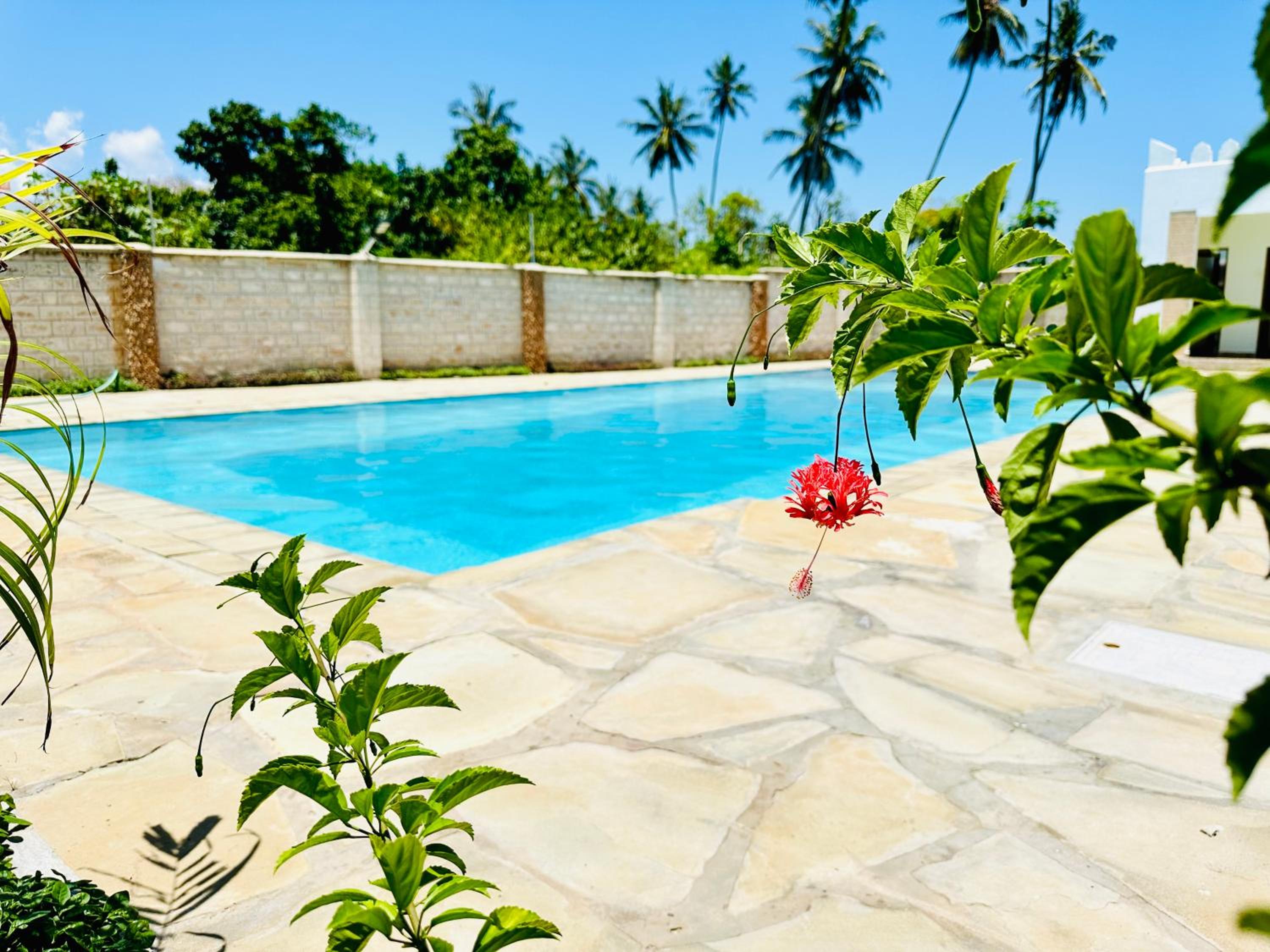 3 Bedroom Luxury Villa-Sita in Diani view 4