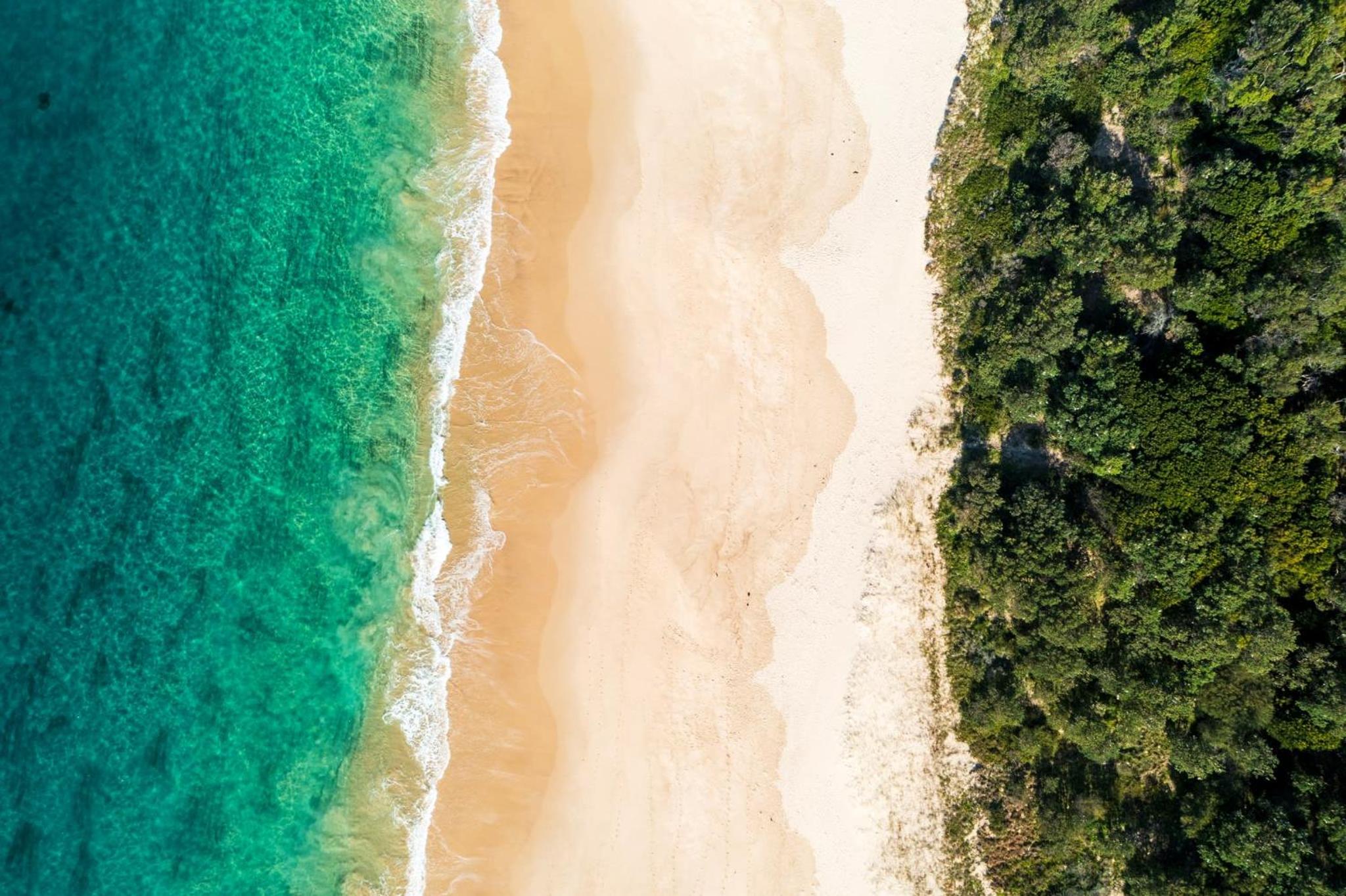 Cute Beach Cottage - Absolute Beach Front