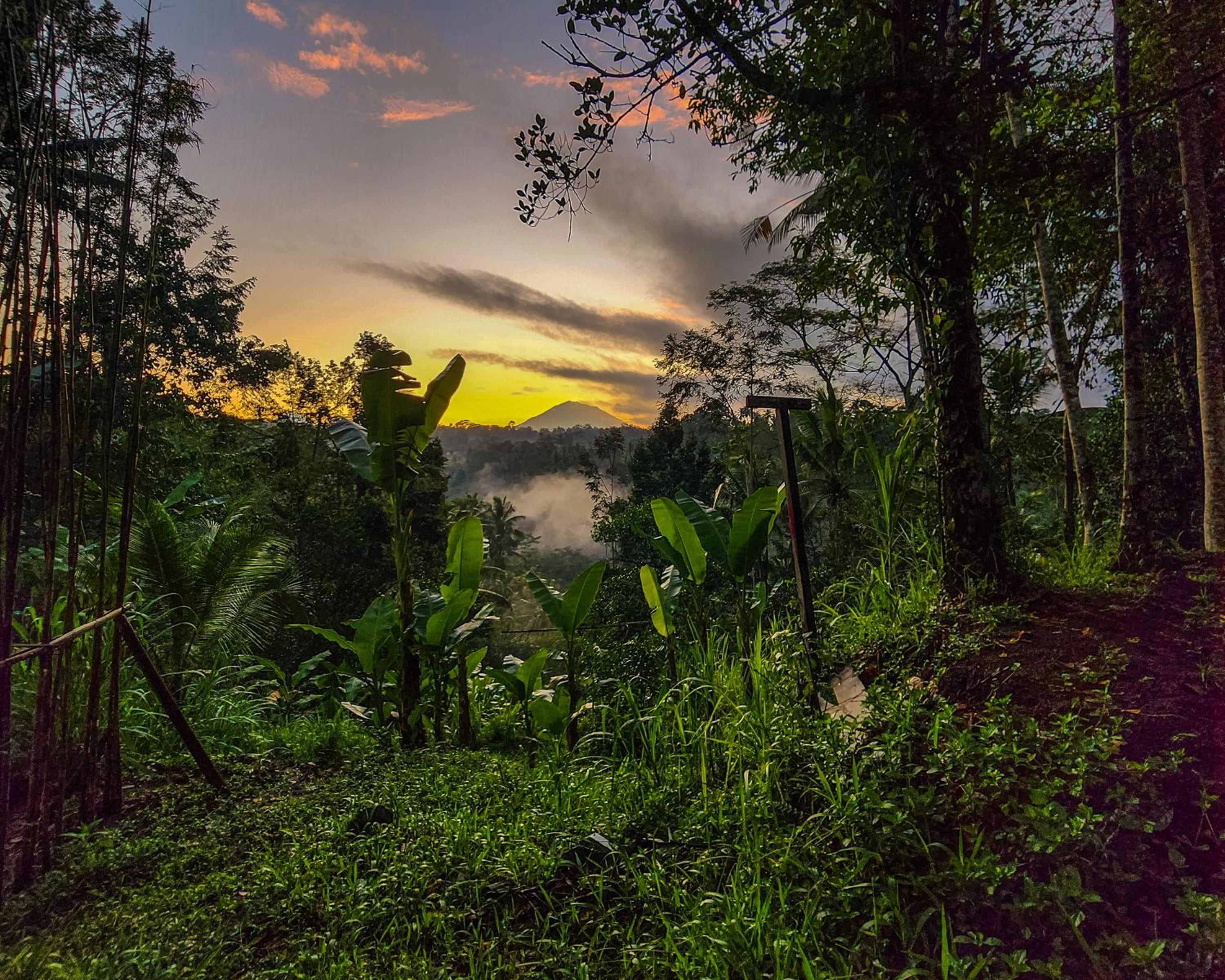 Delta Casa Ubud - A-Frame Villa with Volcano Views & Hot Tub
