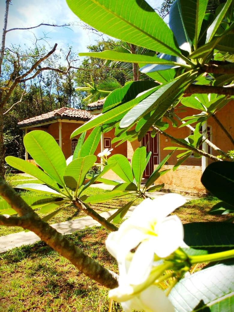 Cabana Unawatuna — photo 4