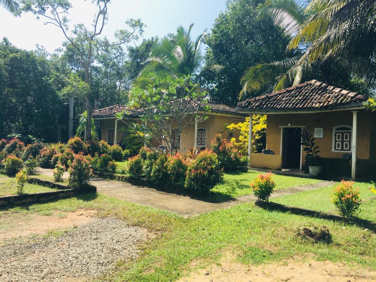 Cabana Unawatuna — photo 3