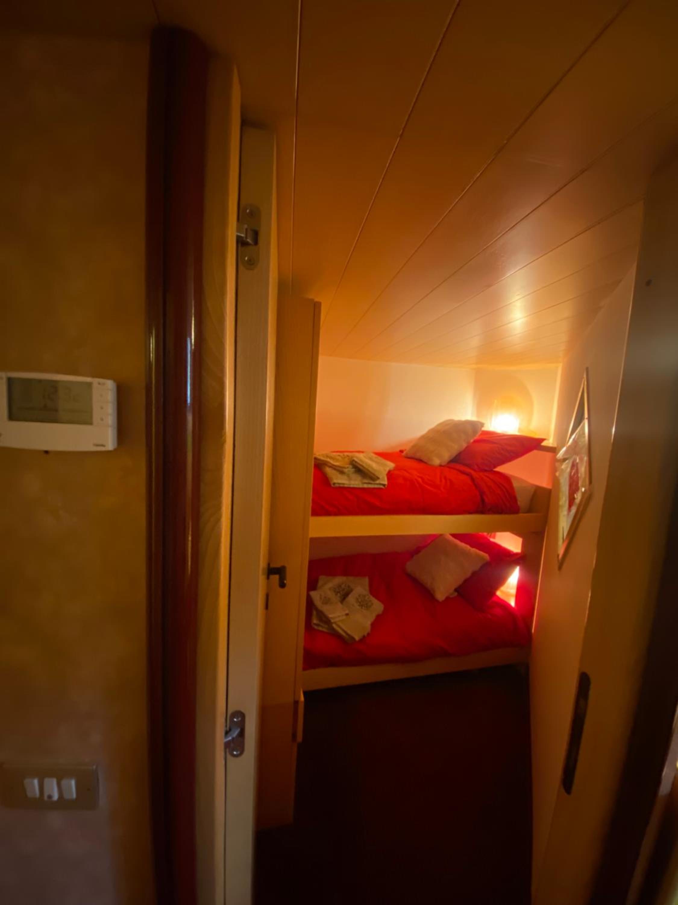THE NEST Alpine Loft Ski-in Ski-out view 4
