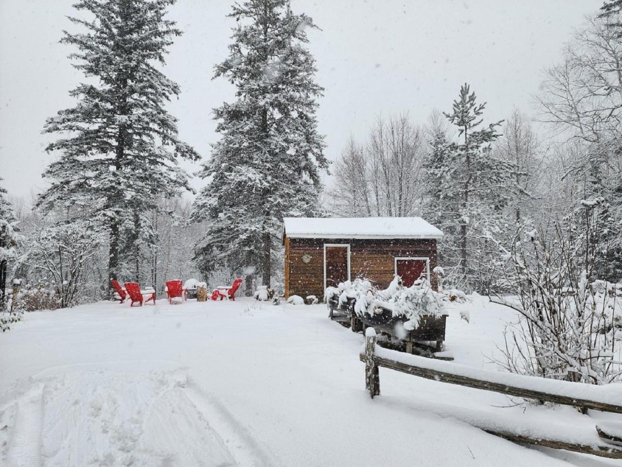Chalet NABU L'Ours - Rivière - Billard