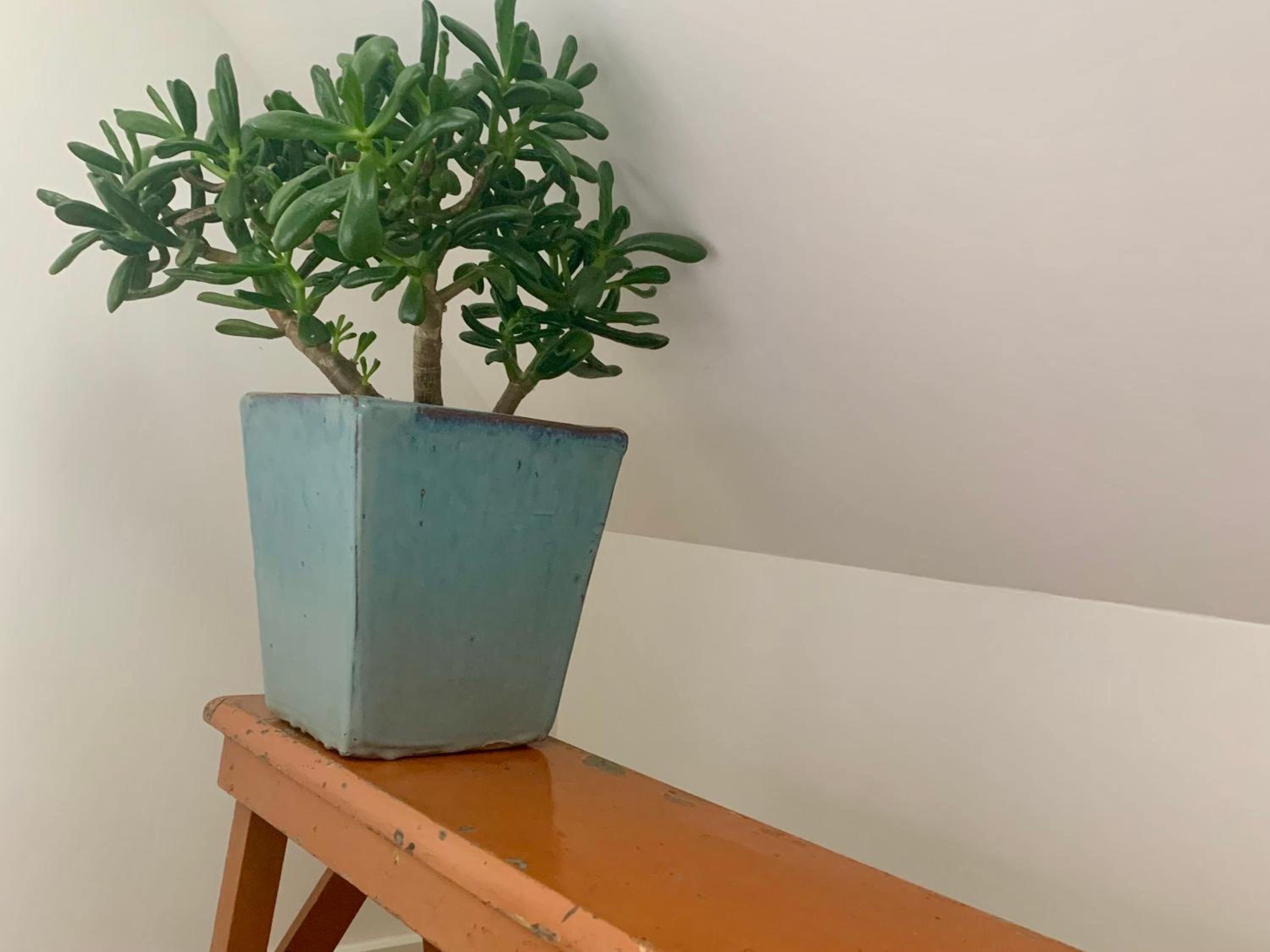 Zolder appartement Le Grenier