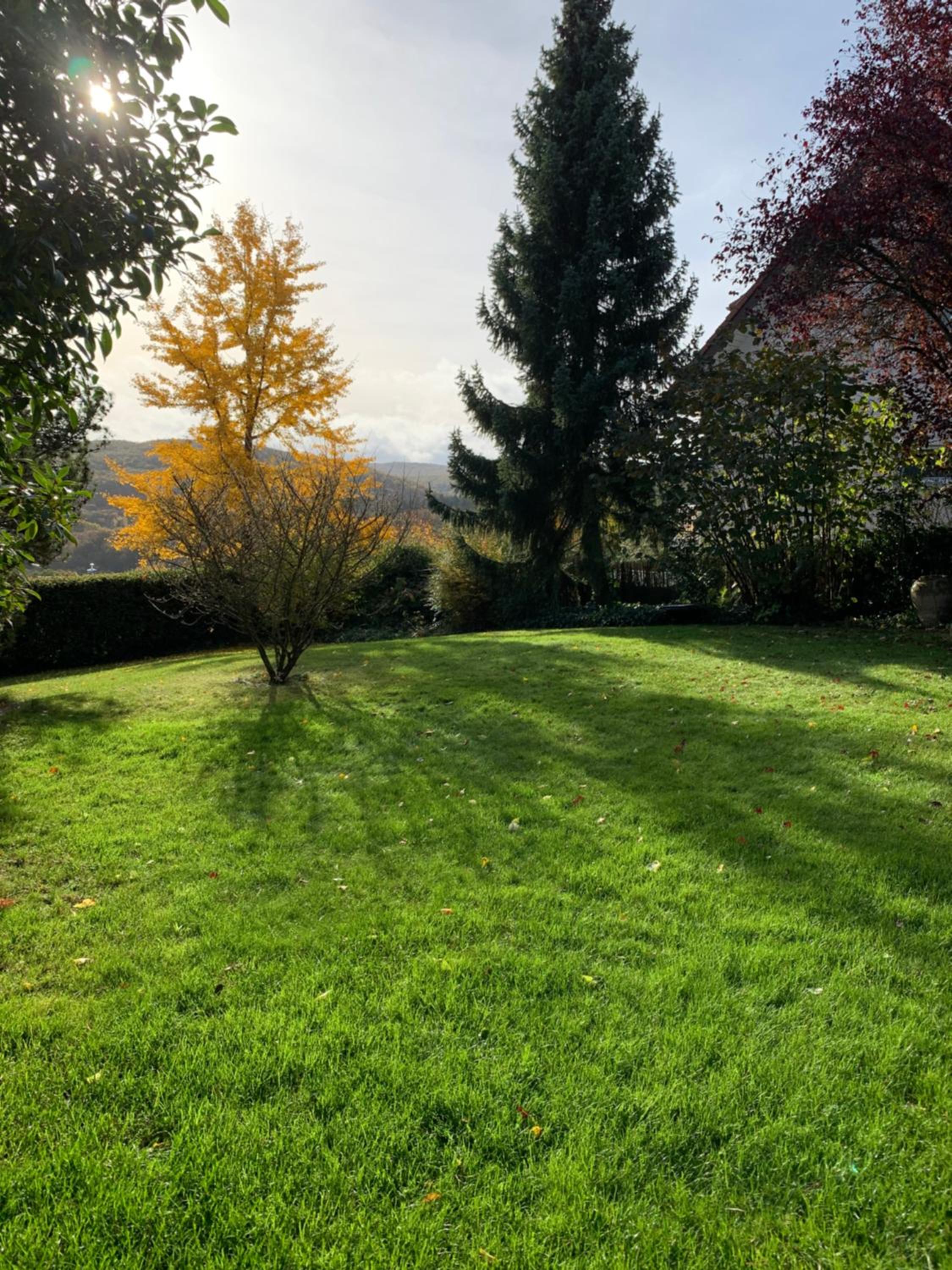 Haus am Pfingstborn