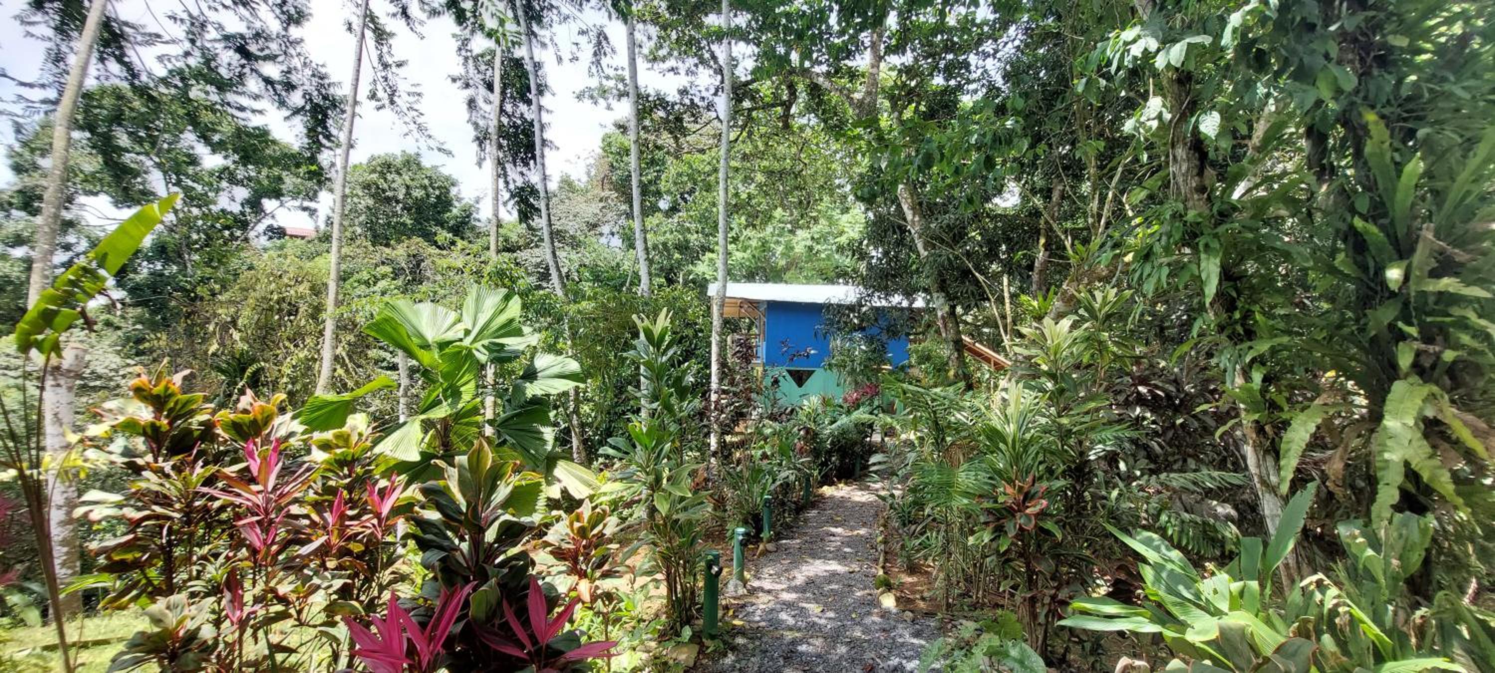 Casa Alta Vista