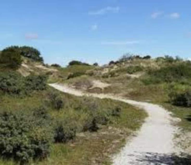 Photo 27