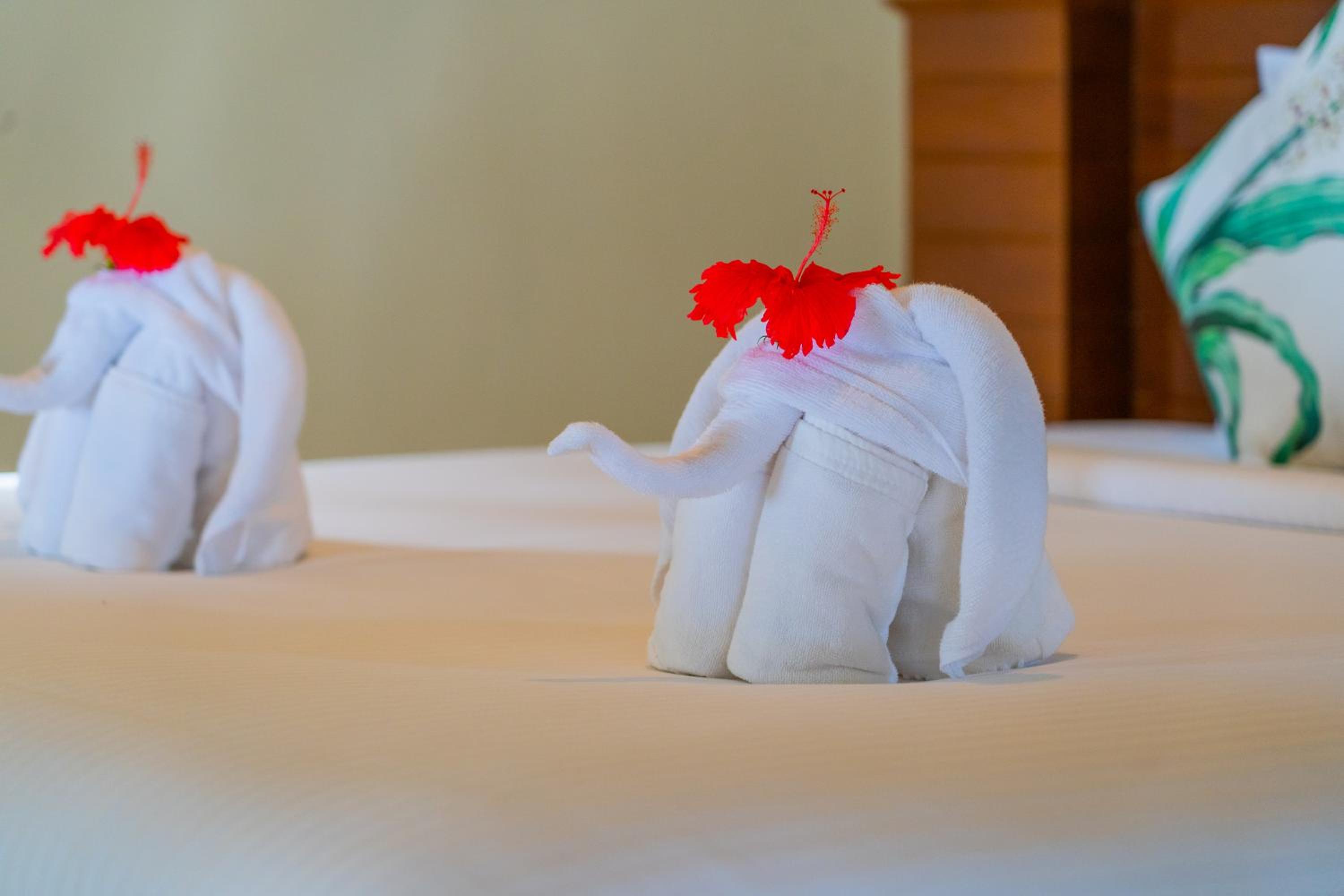 The Tropical Beach Resort