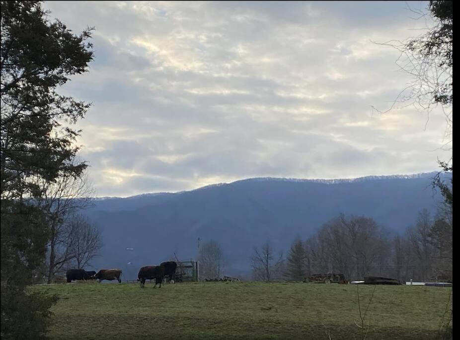 Country Memories