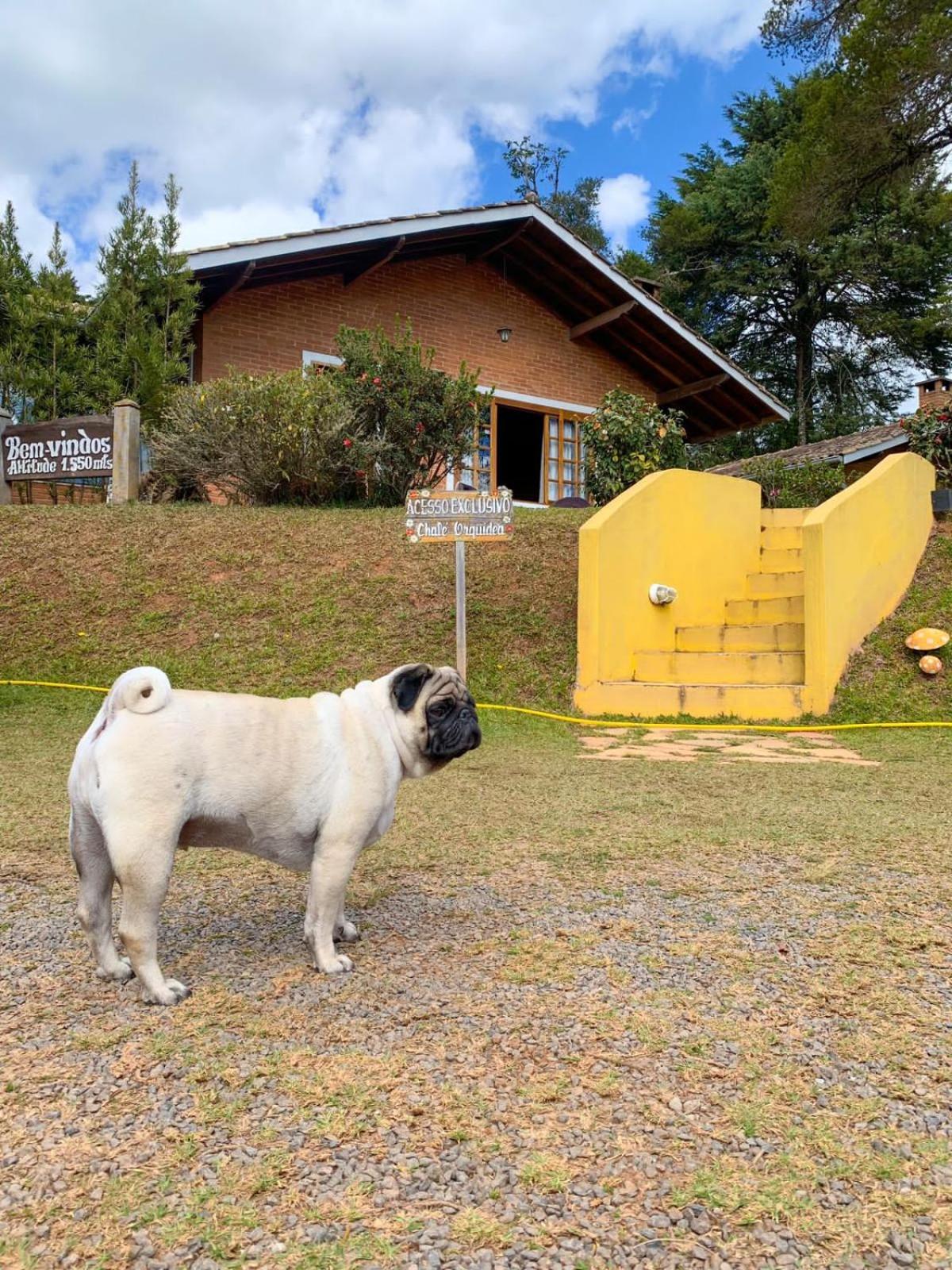 Pousada Villa do Luar