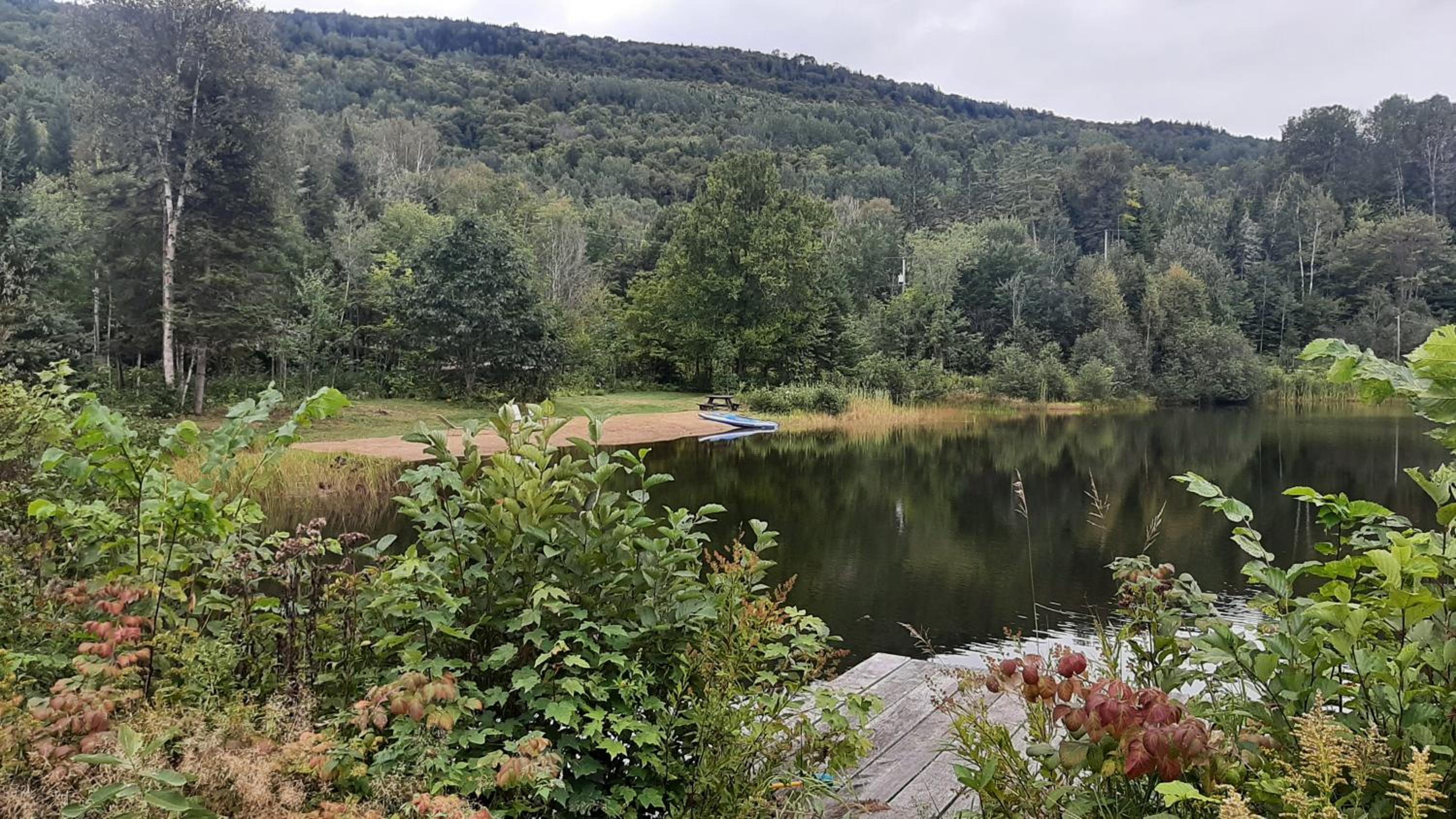 Le relaxant chalet du petit ruisseau
