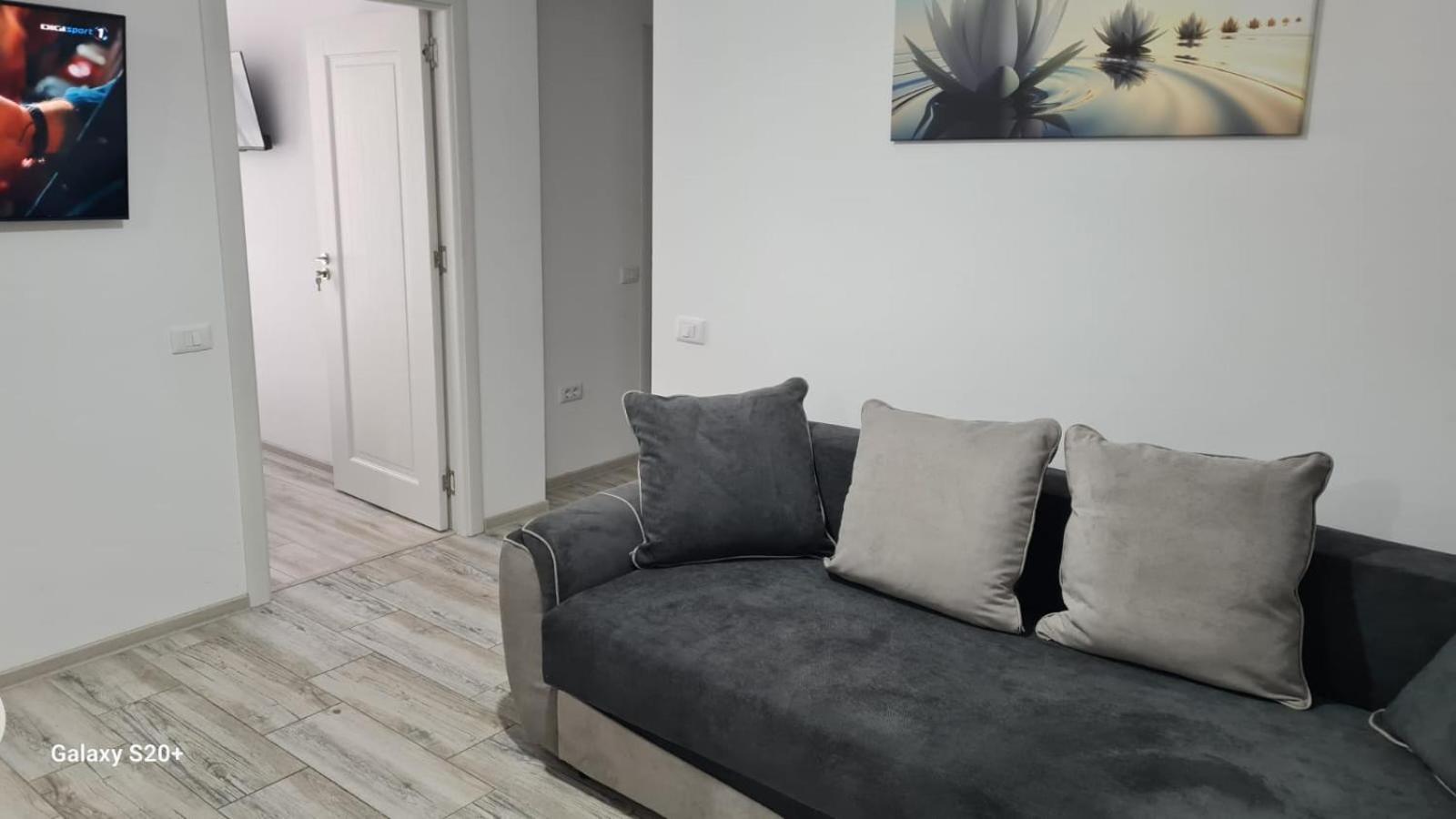 Apartament David