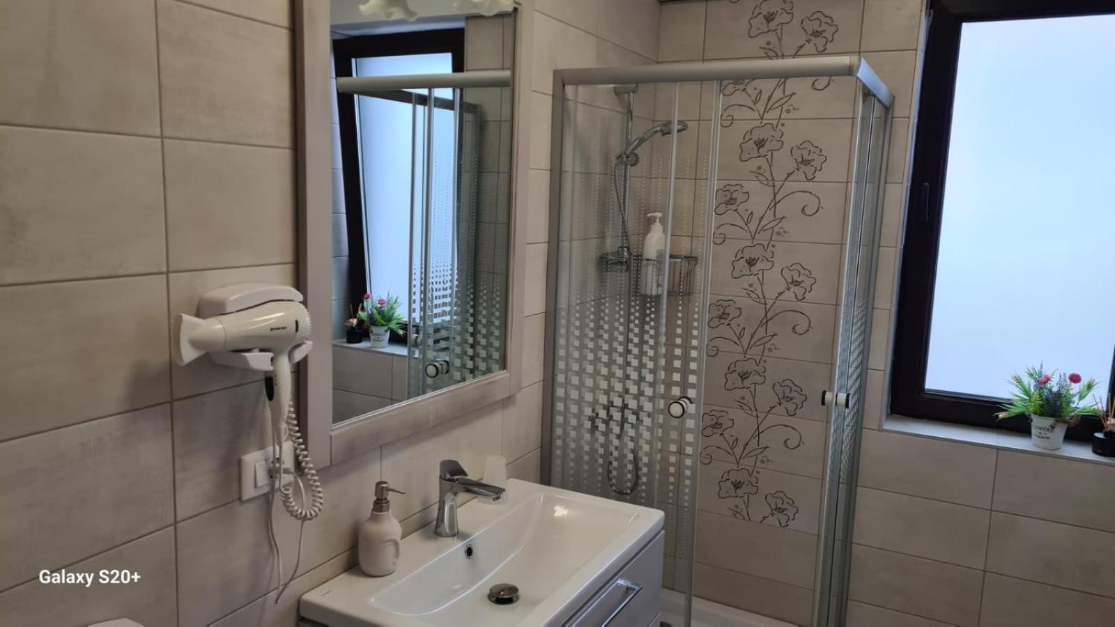 Apartament David