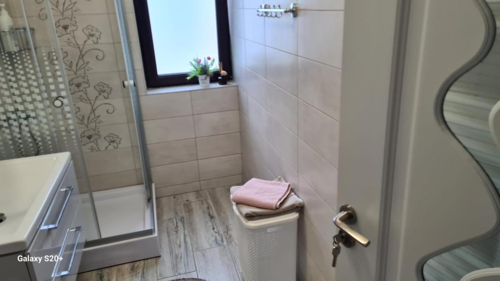 Apartament David