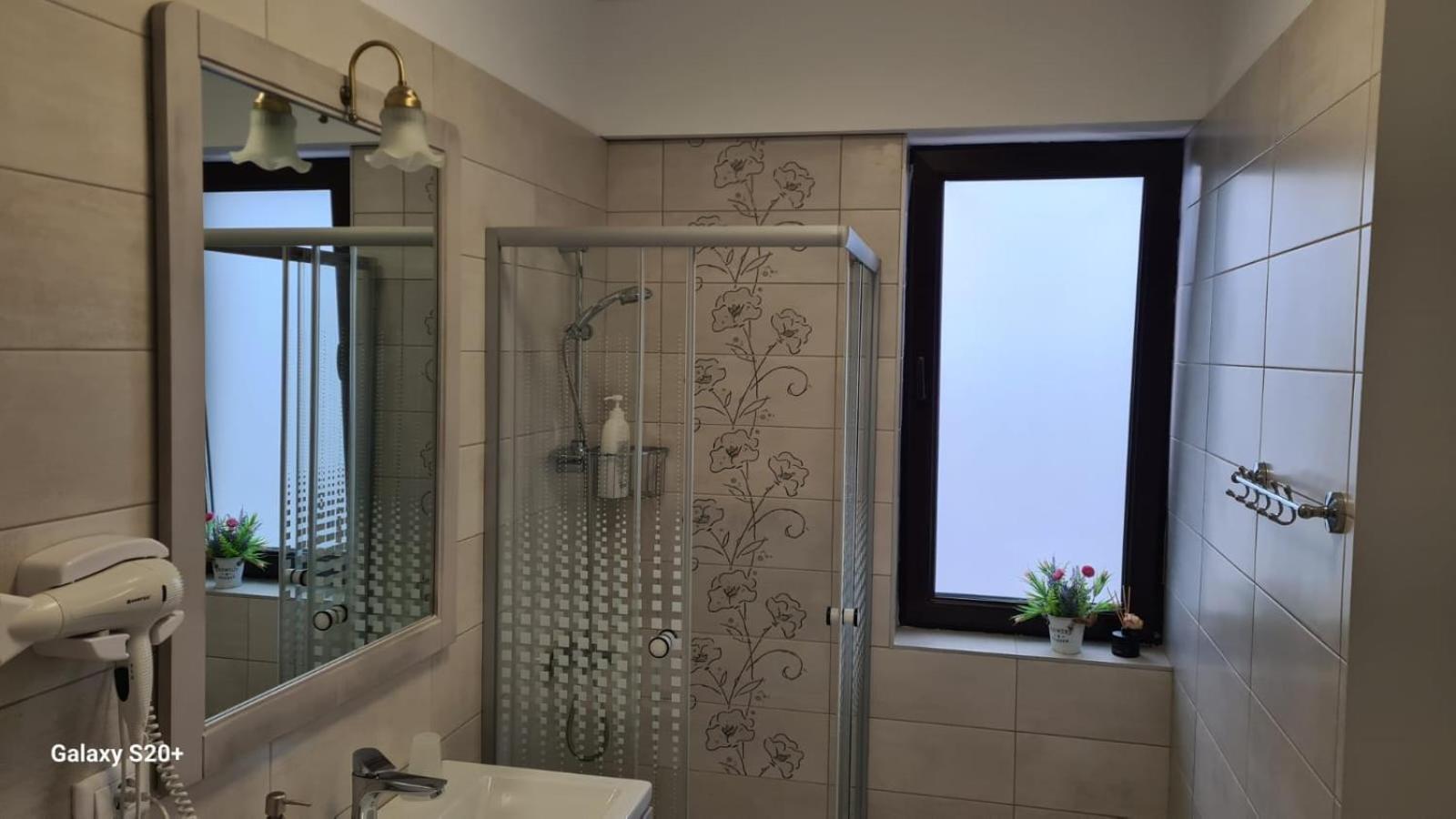 Apartament David