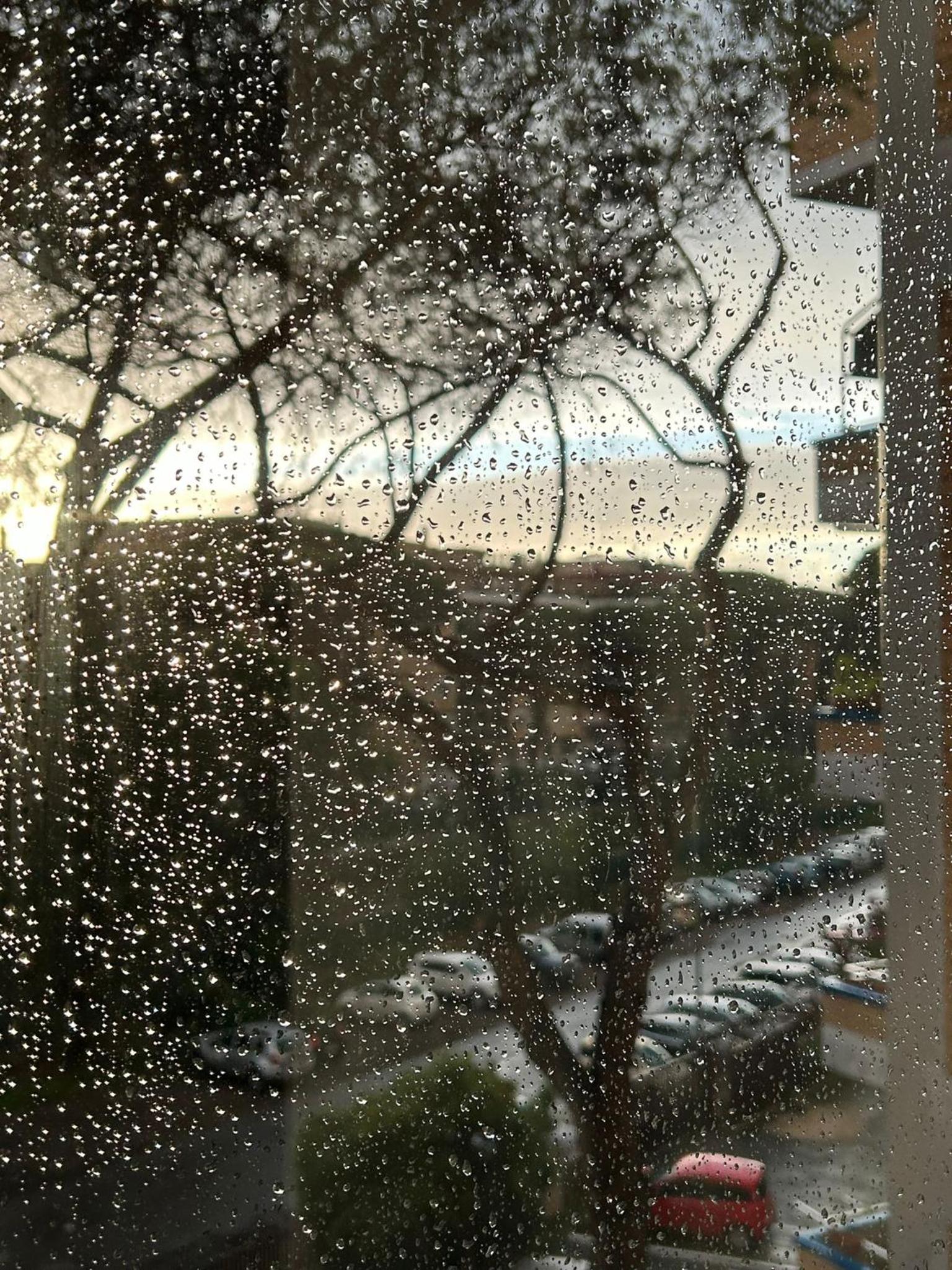 Casa VerdeMare photo 5