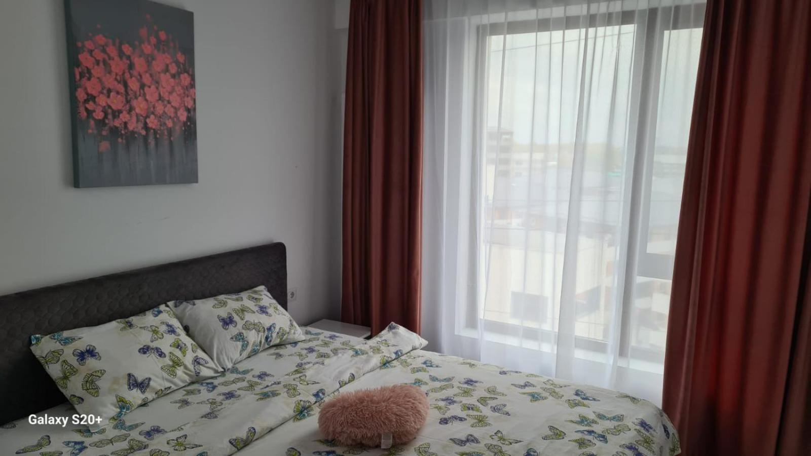 Apartament David