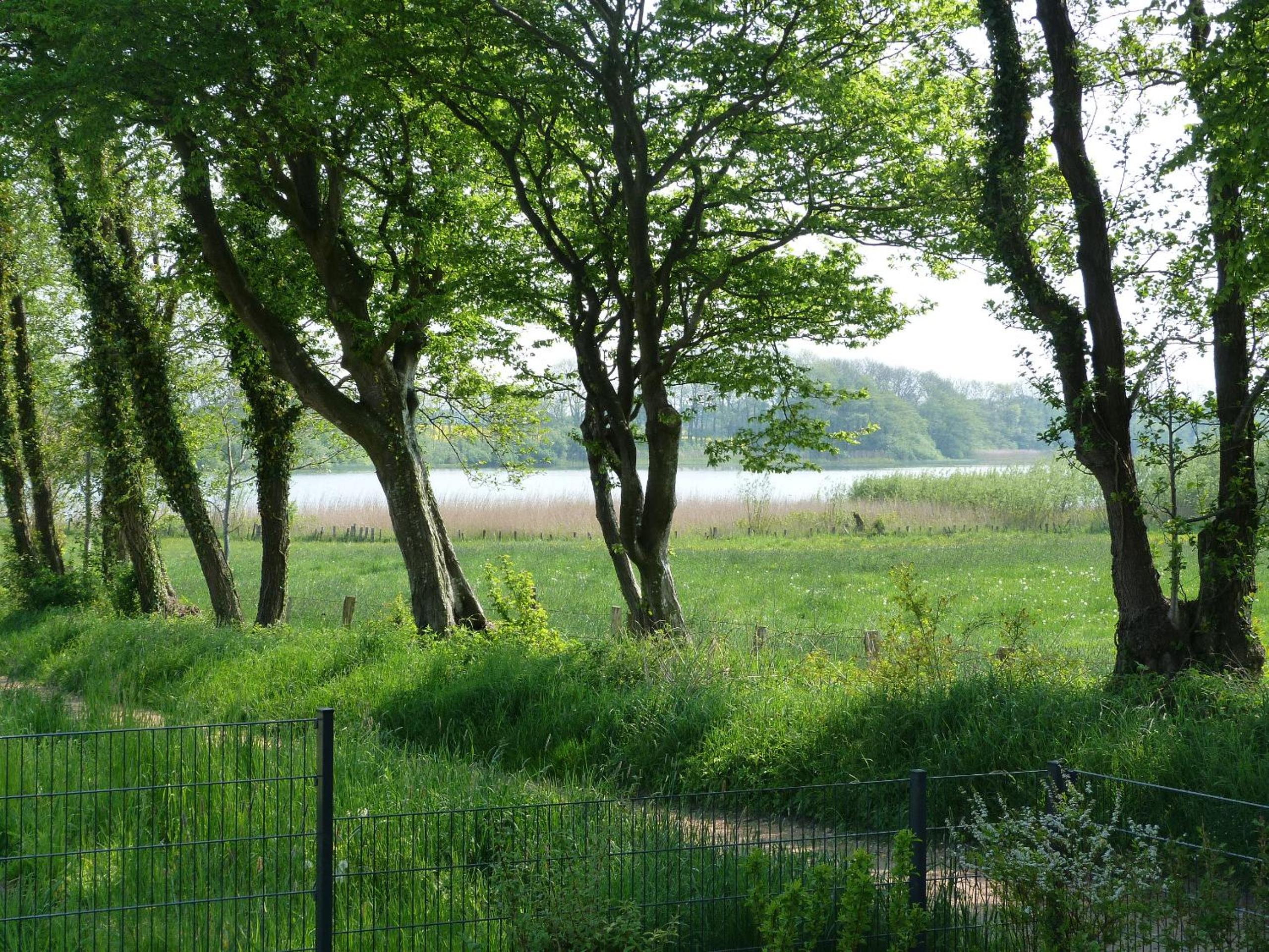 Auszeit am Südensee