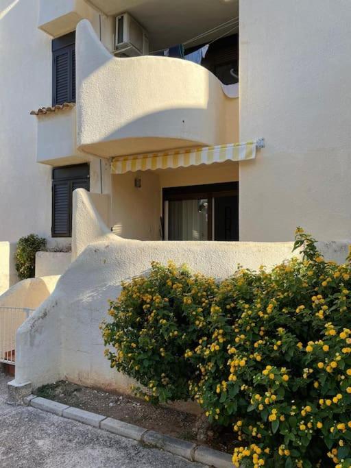 Apartamento Los Cactus