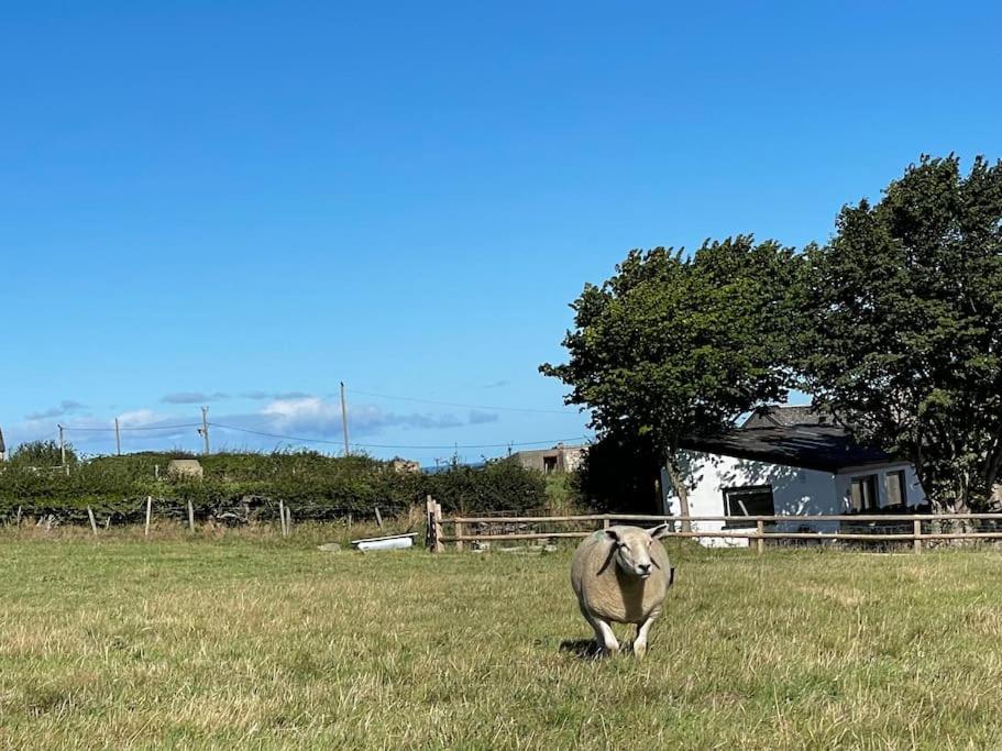 Tranquil, secluded, rural cottage for two view 4