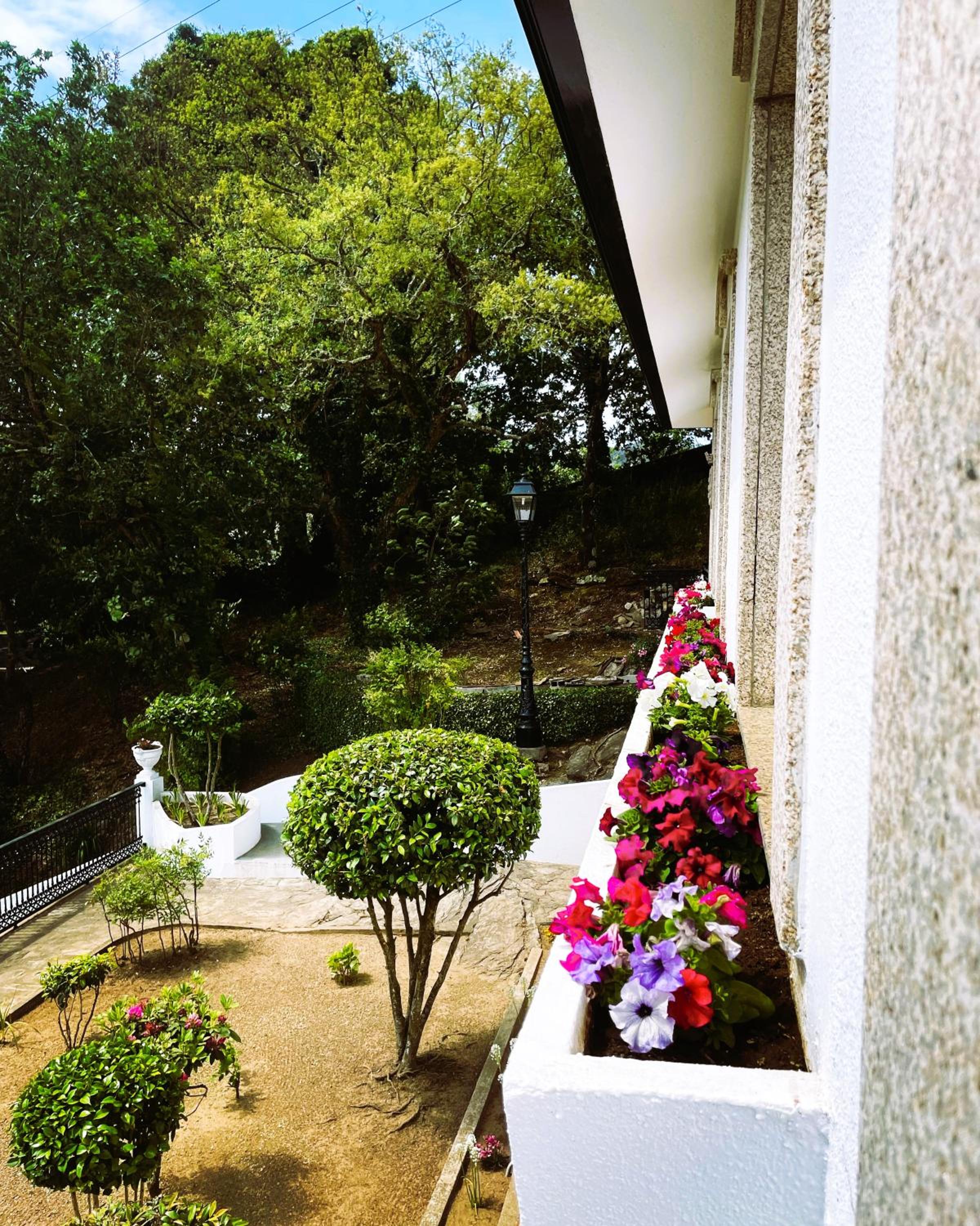 Photo 33