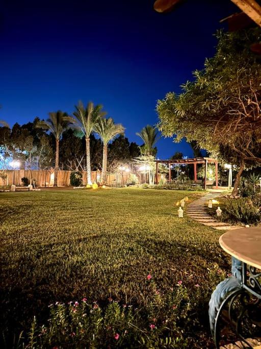 Sakkara Royal House