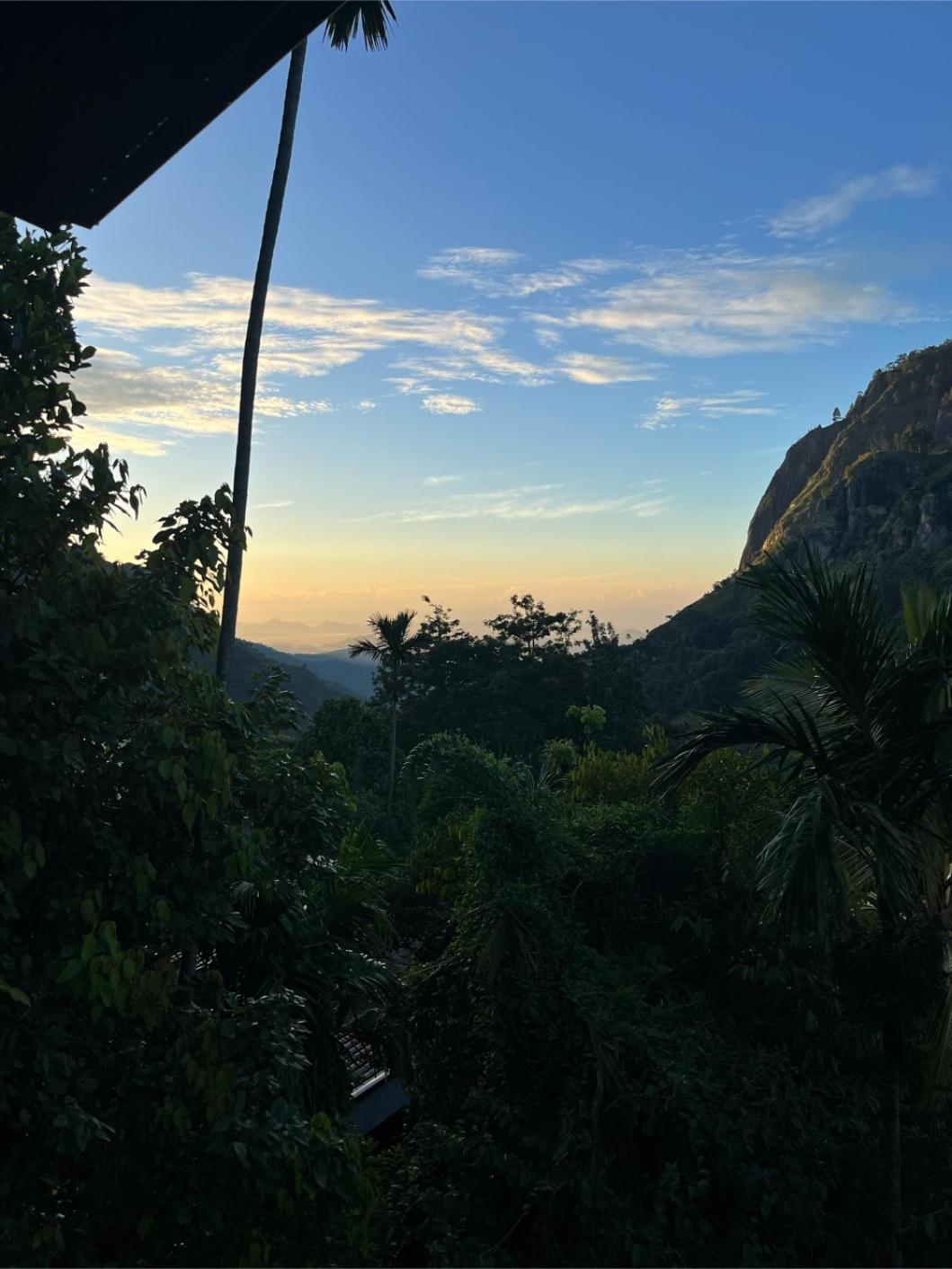 Photo 66