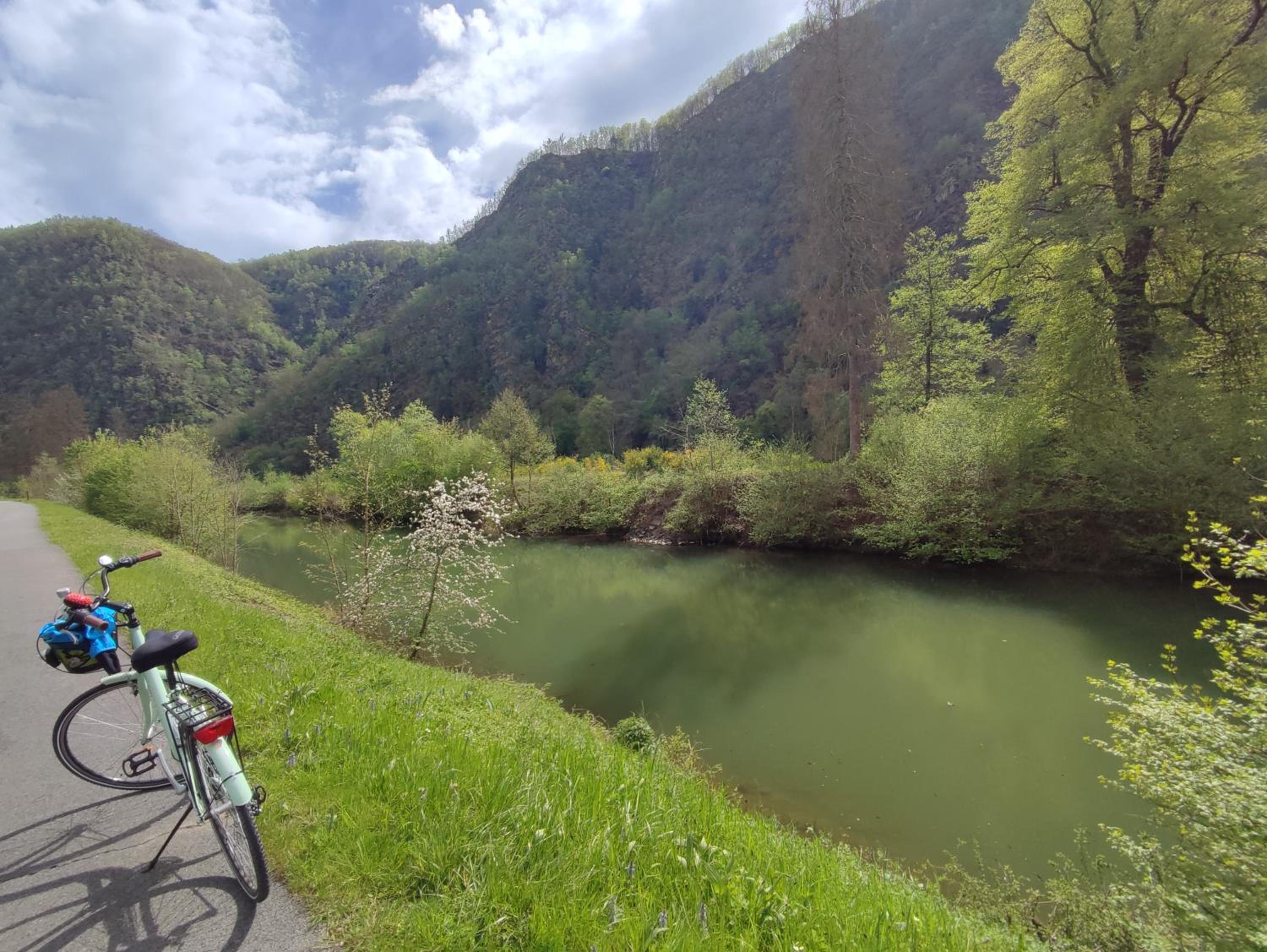 Photo 29