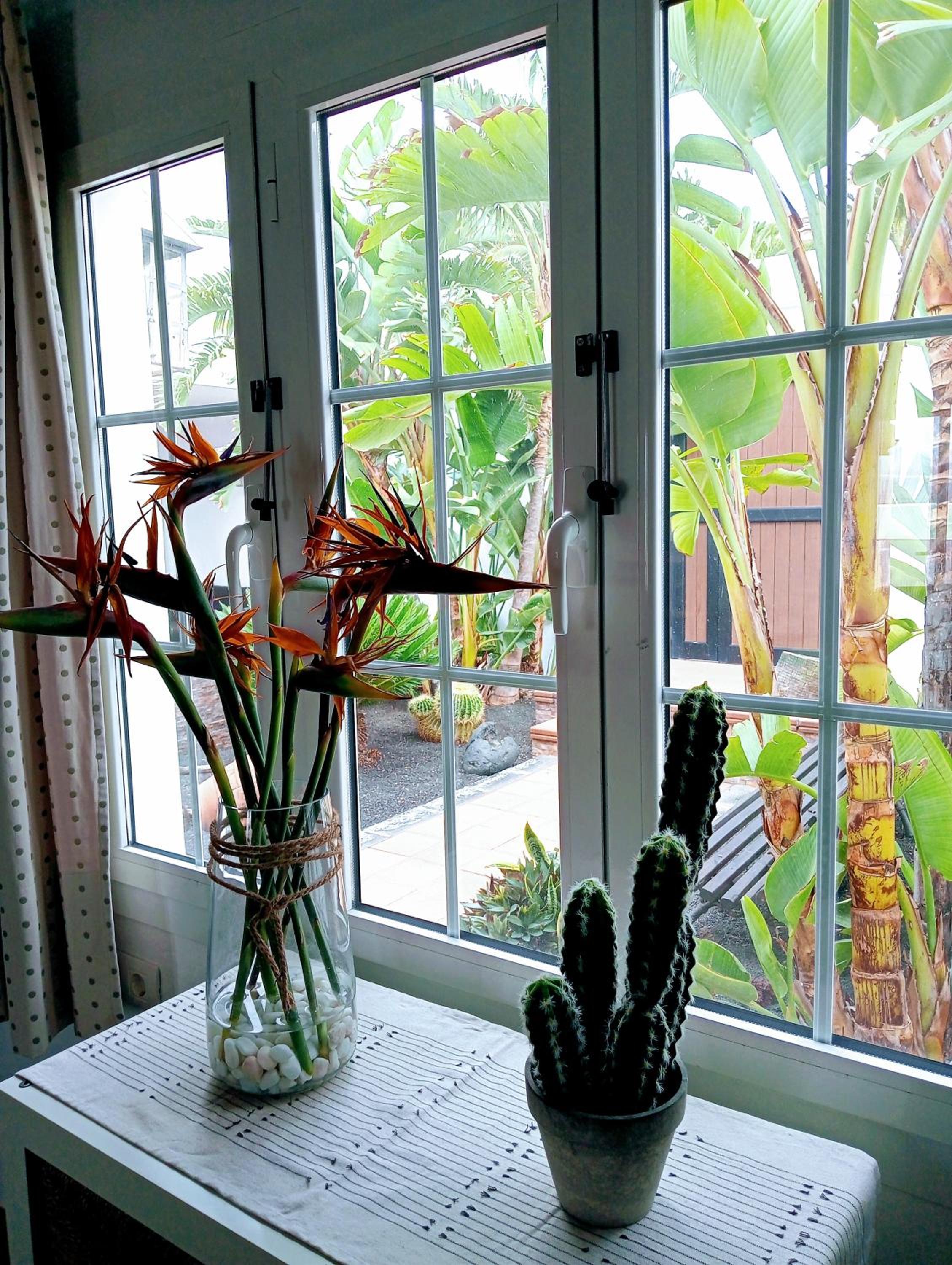 Casa Strelitzia