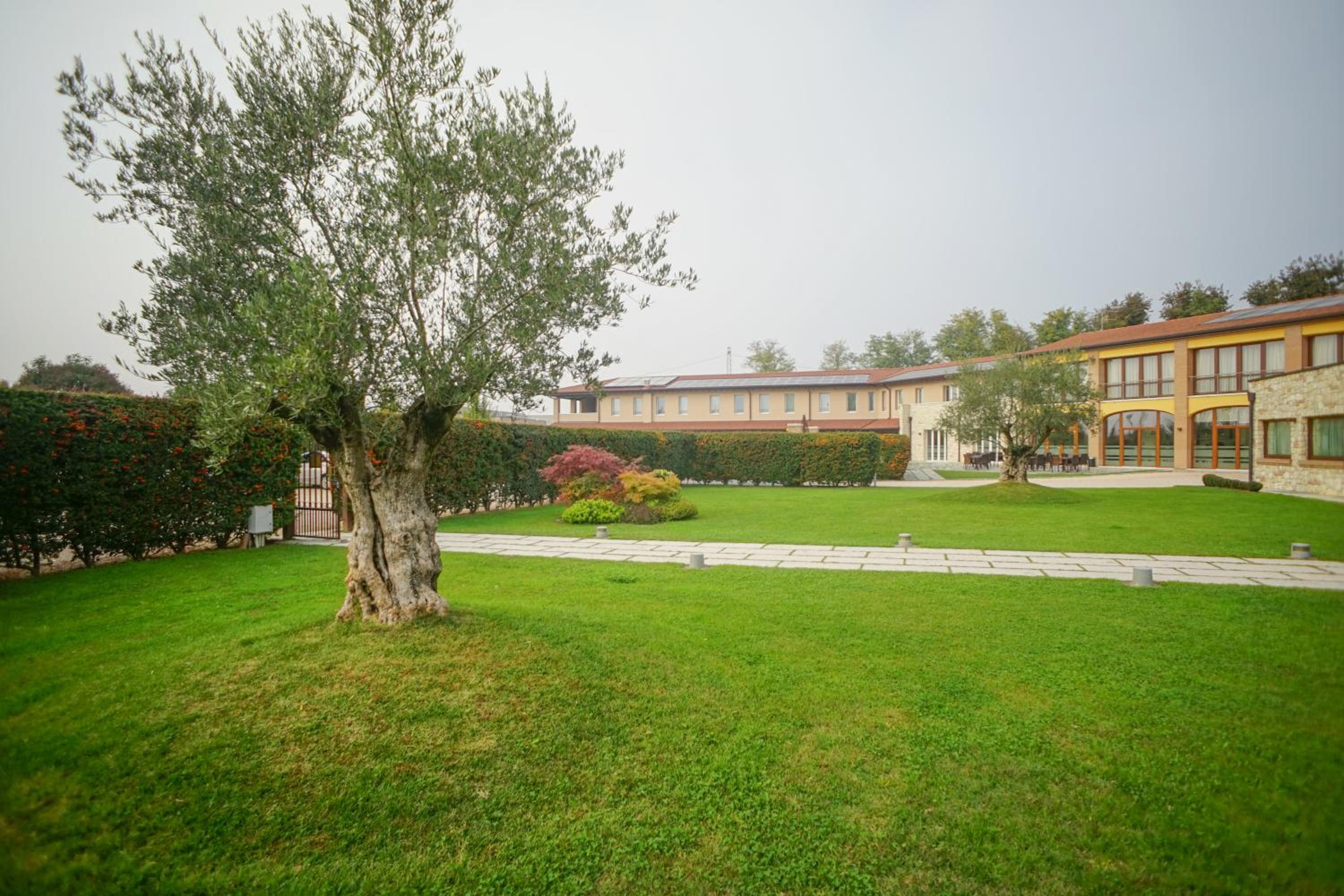 Photo 25