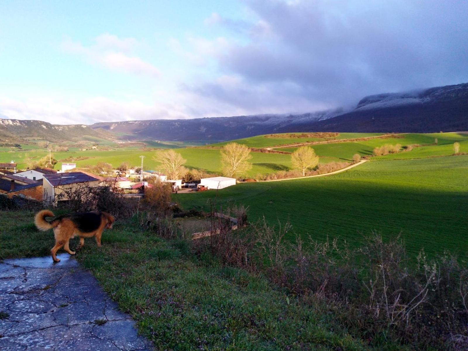 Casa Rural IKIGAI, Viloria Navarra