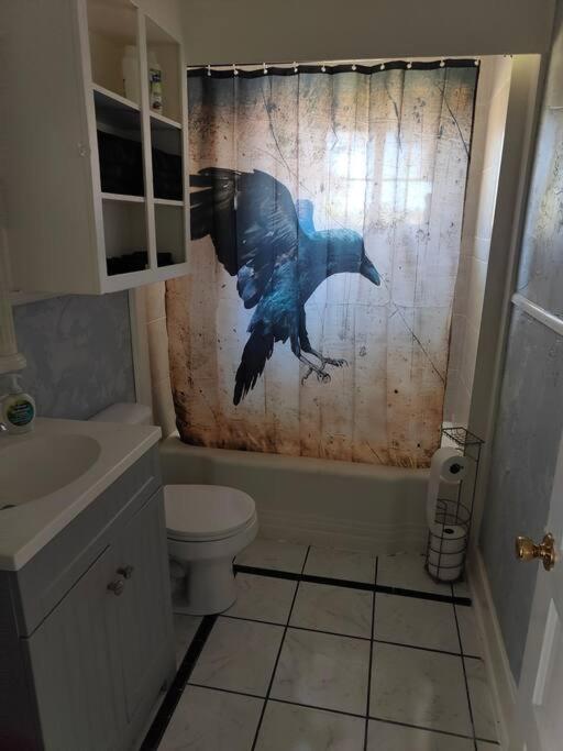 The vampire's den, downtown big house, pets ok view 3