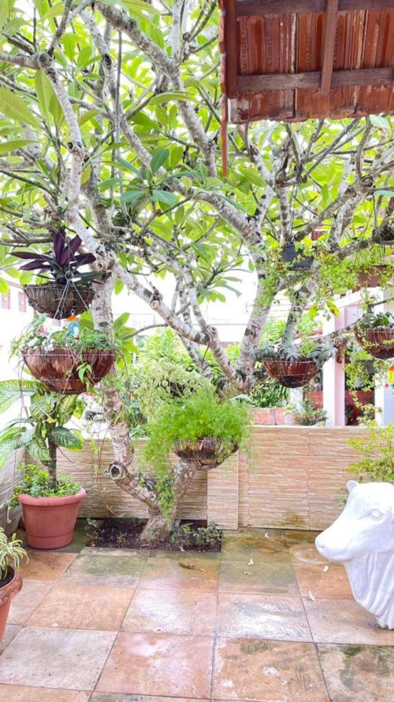 Casa 7 no Condomínio Chácara Alpina- Rua Tabajara