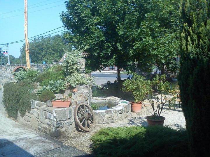 Photo 19