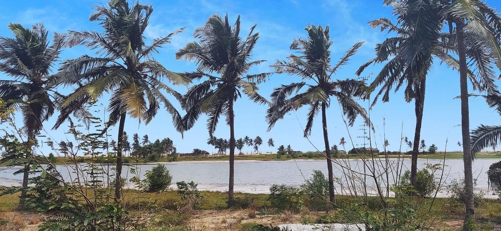 A&Y Wild Camp Ghana view 3