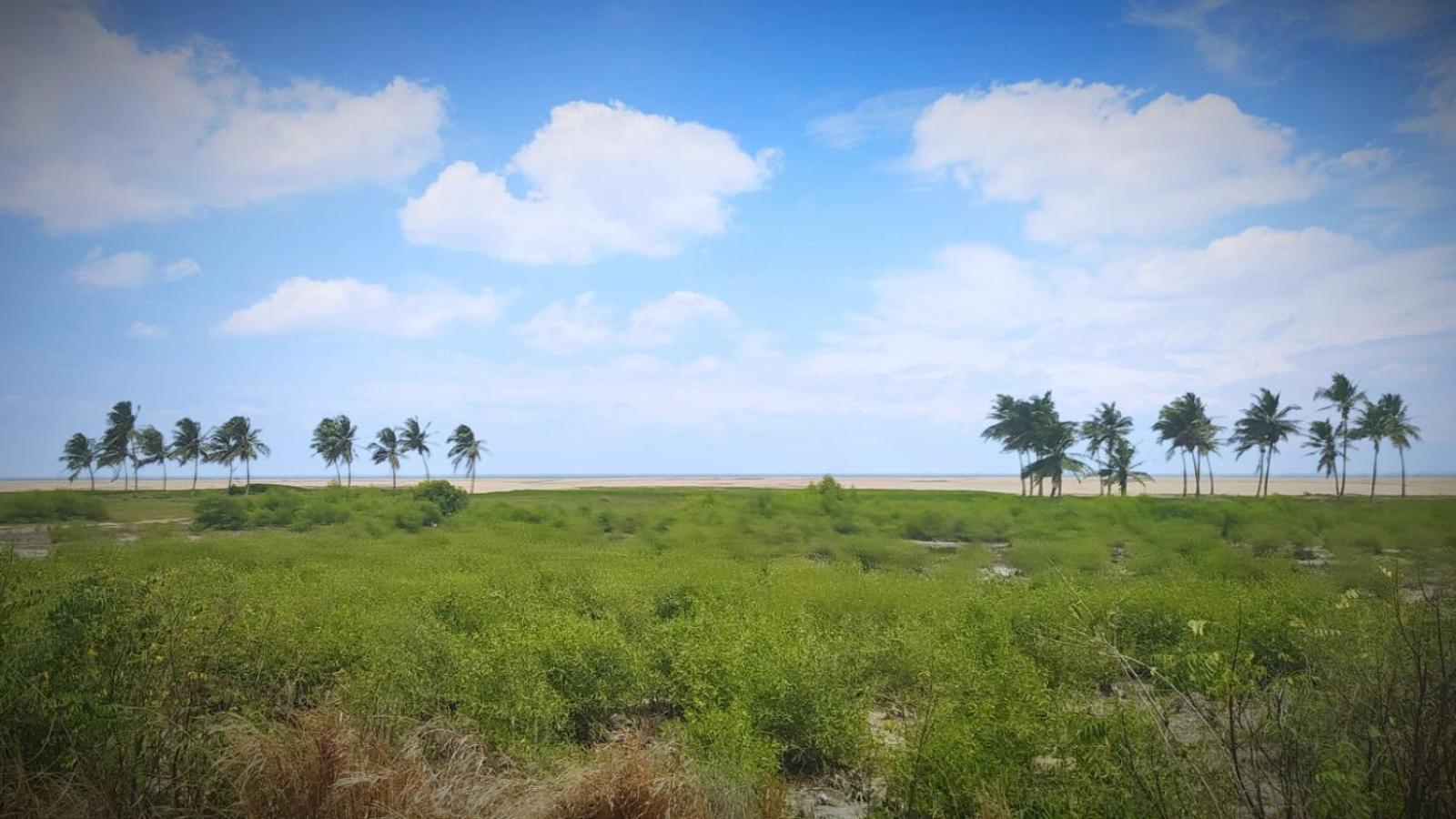A&Y Wild Camp Ghana view 4