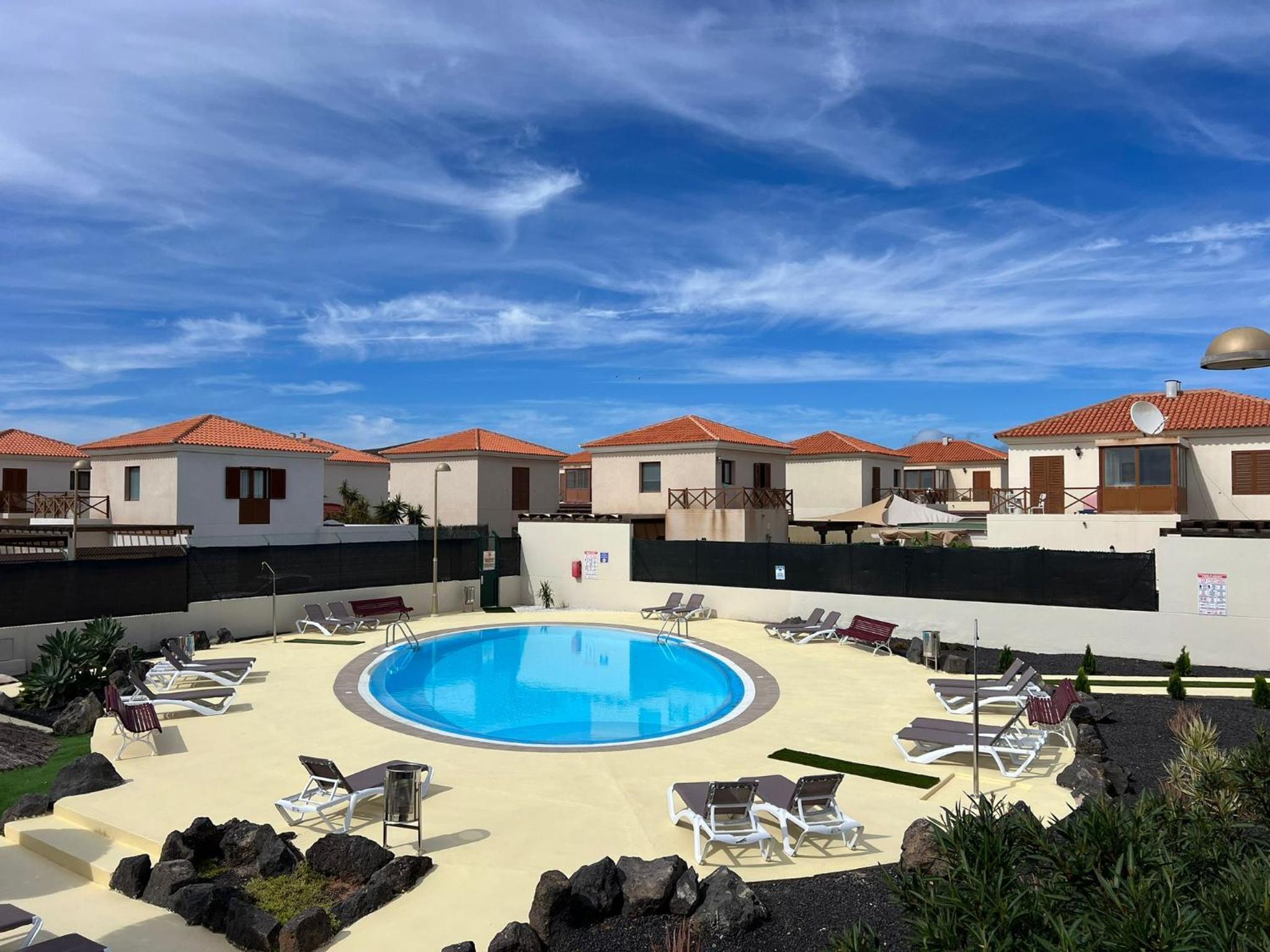Alcaudón HolidayFV