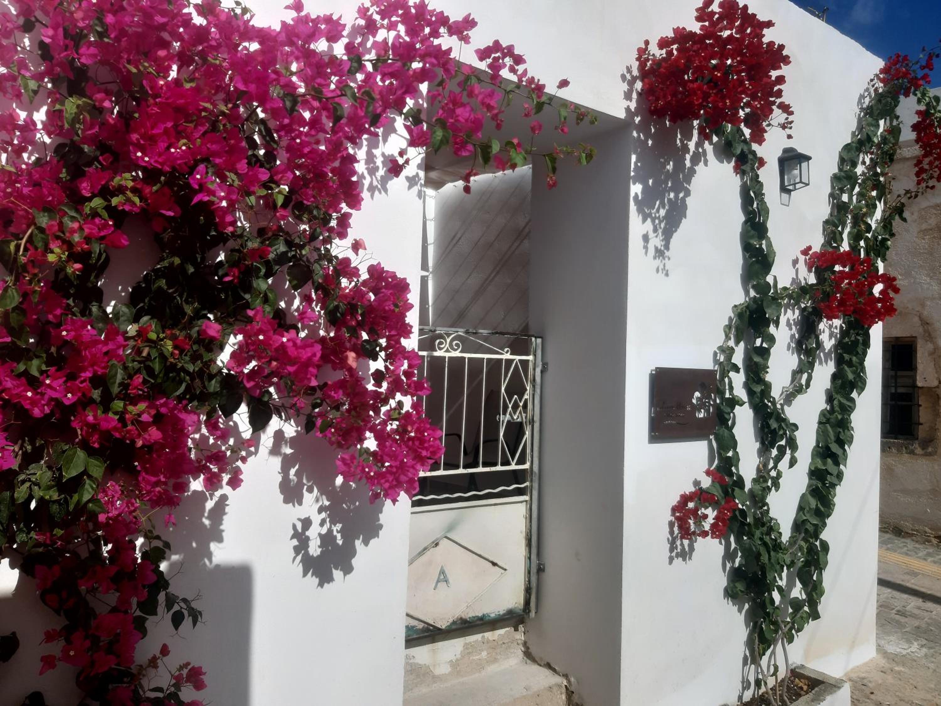 LILIUM HOUSE PALEKASTRO