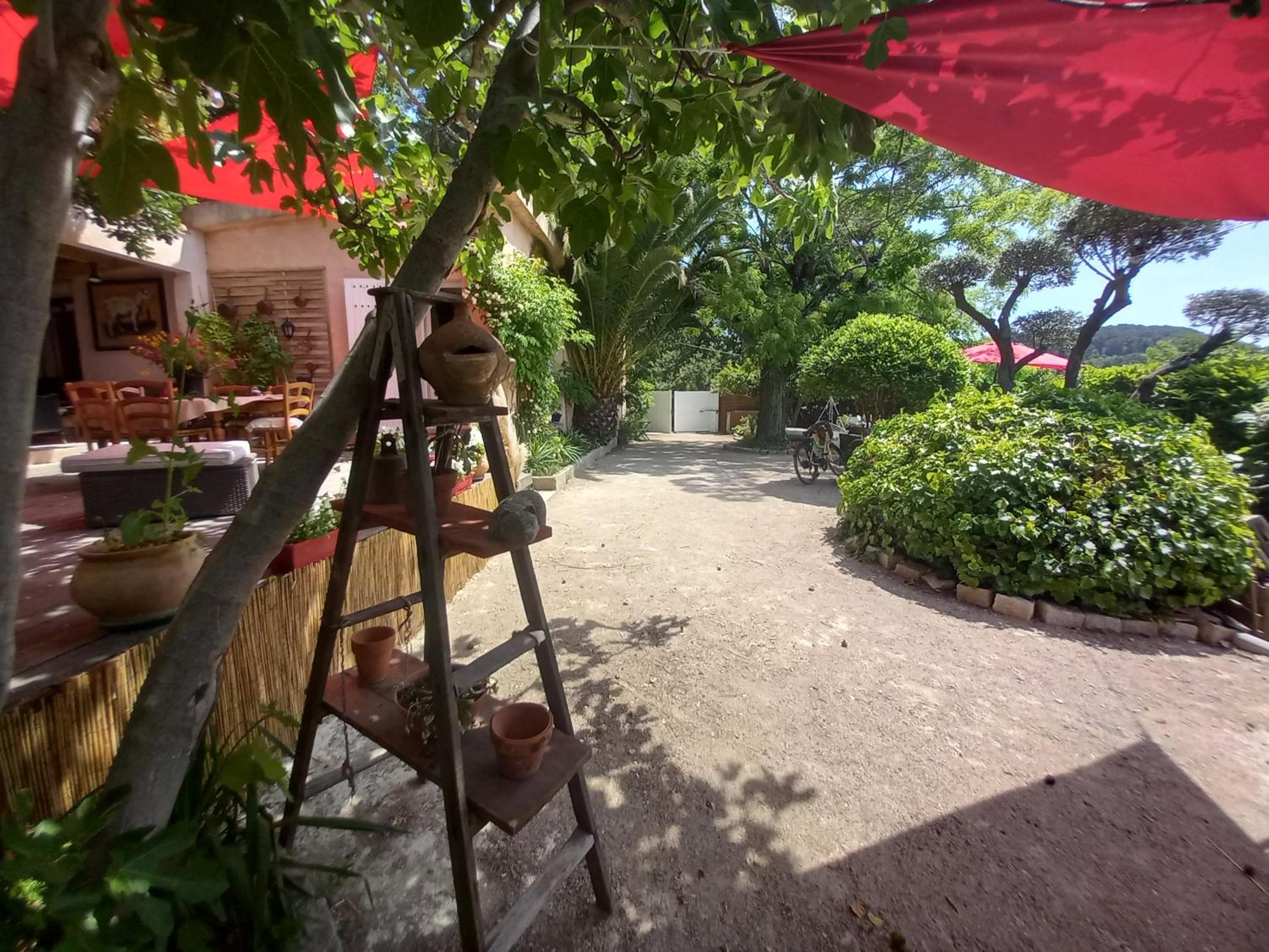 Le jardin de Sabine, photo 23