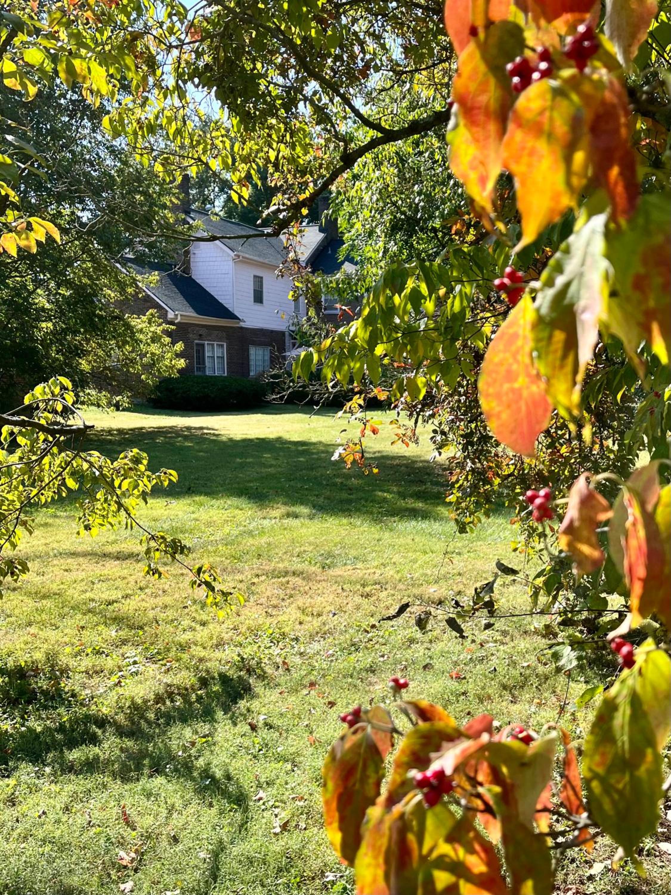 Charred Oaks Inn - Property Image 24
