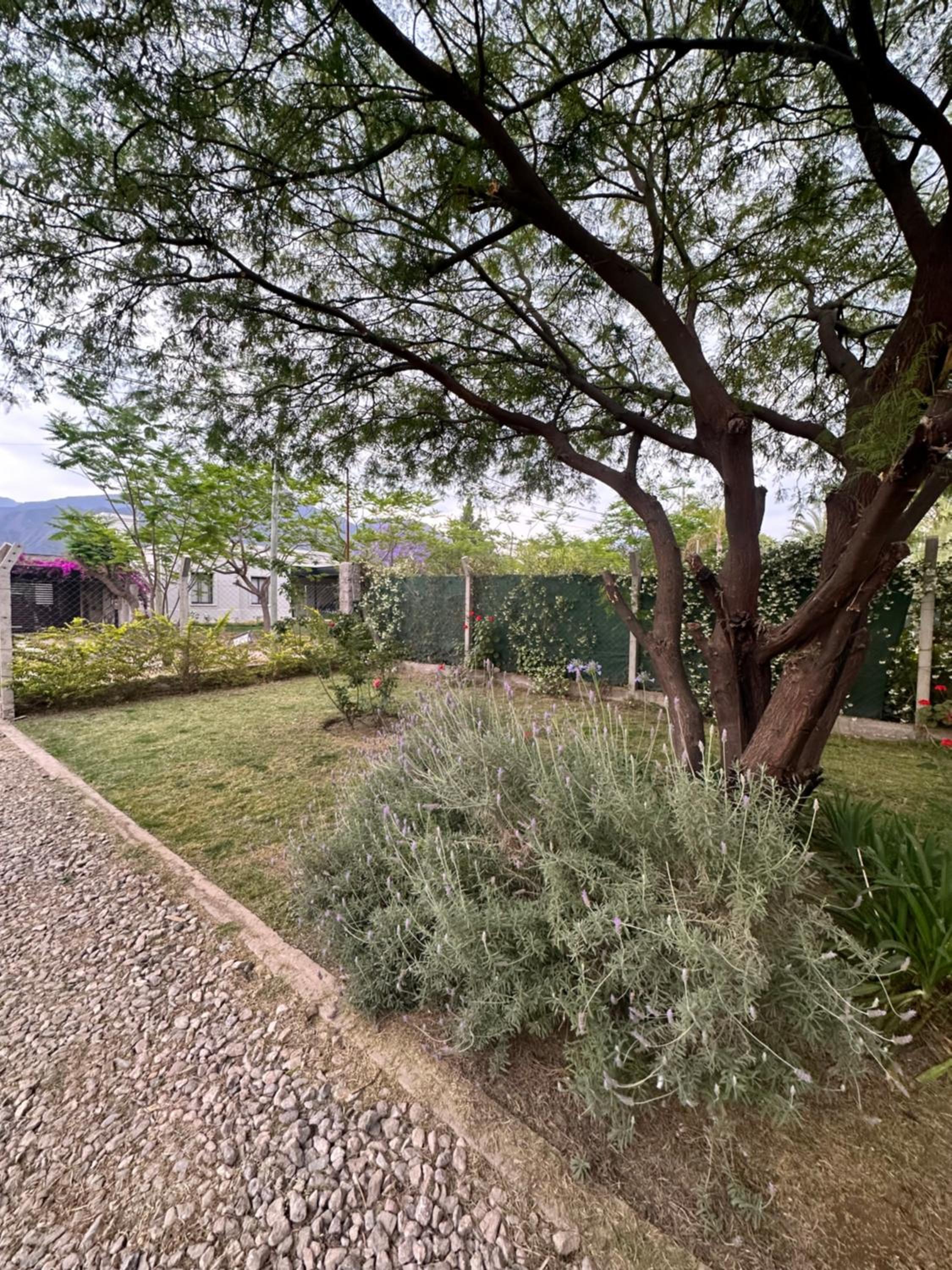 Casa del cerro 1 - Three Houses