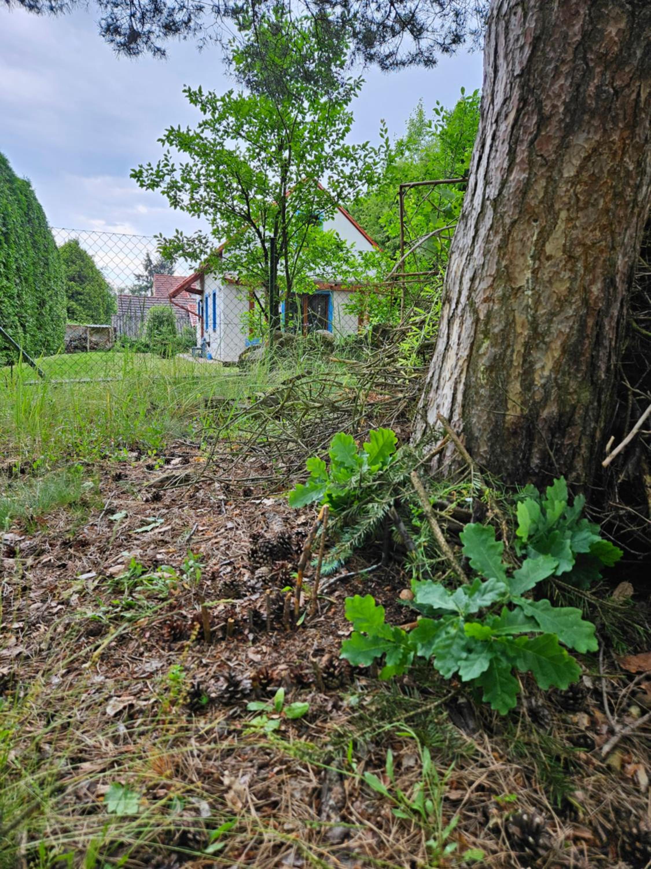 Prázdninový dům Barča Vlkov