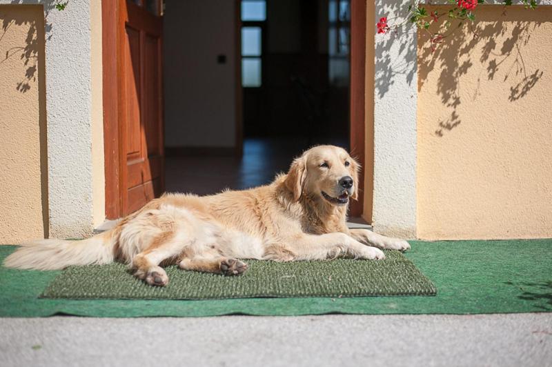 Farm Stay Kramer view 3