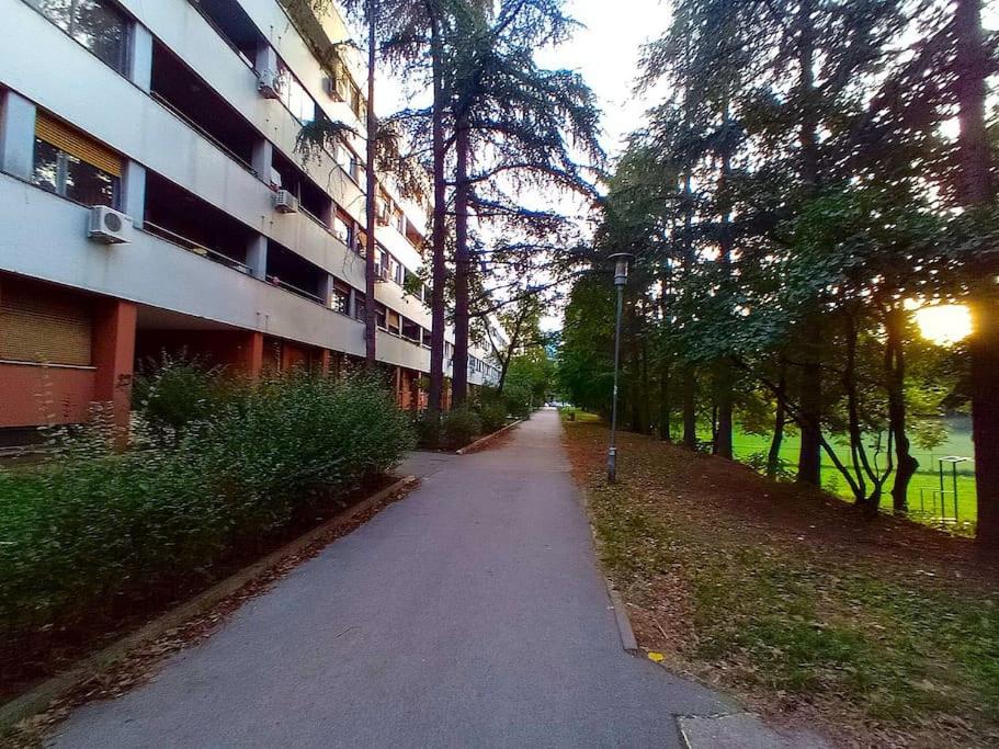Photo 30